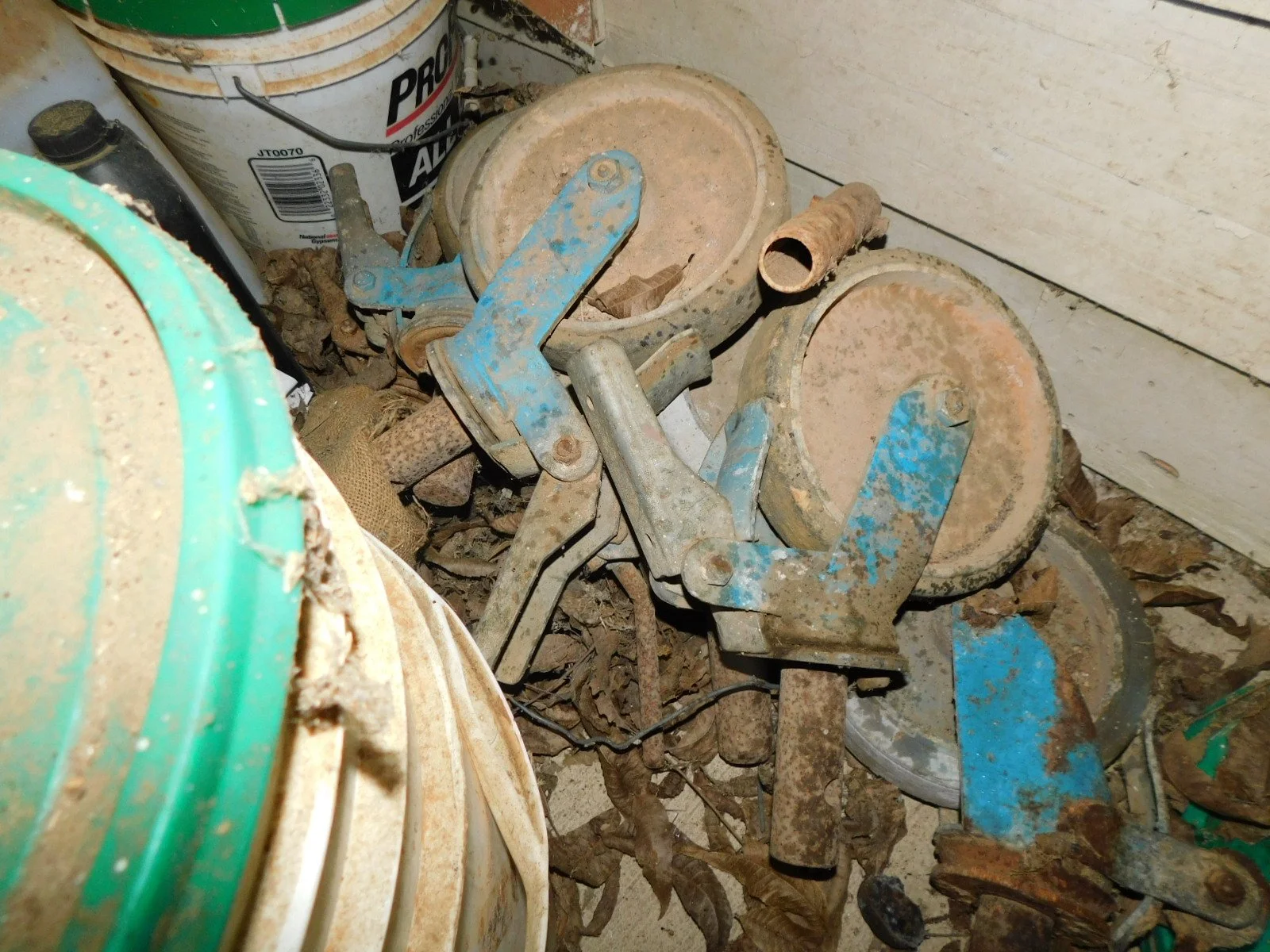 DSCN3939.JPG