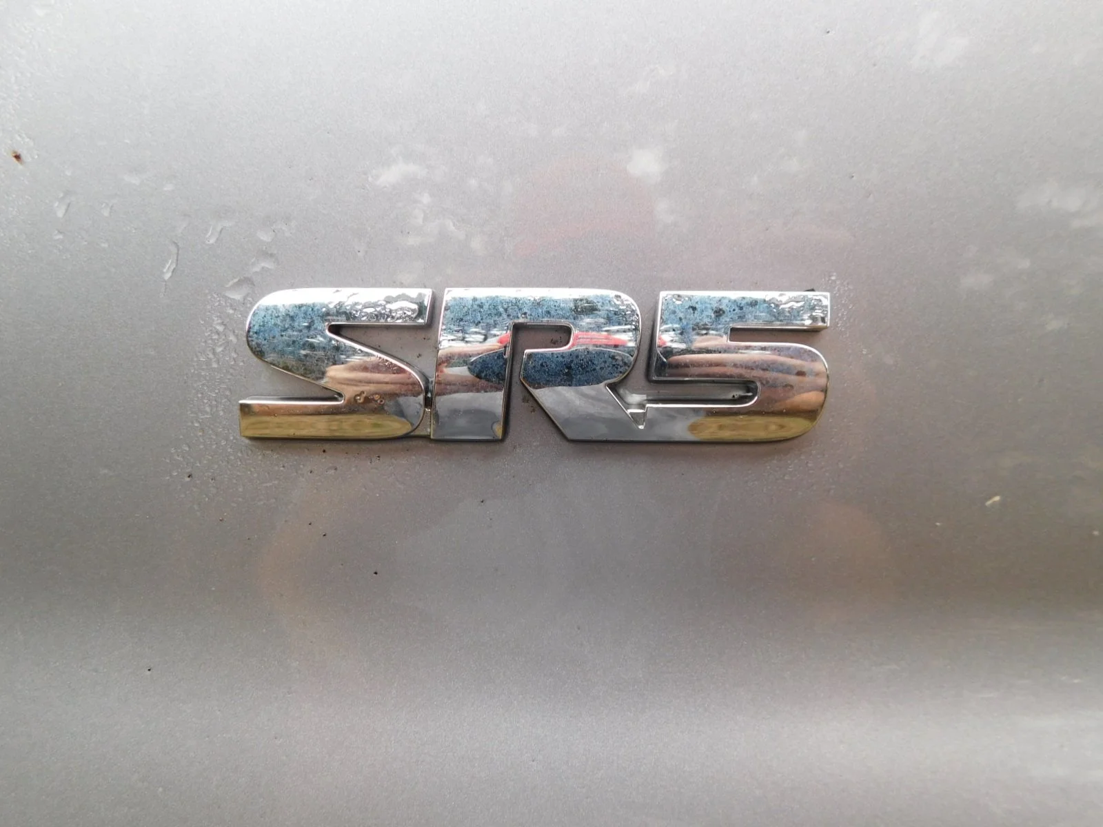 DSCN4339.JPG