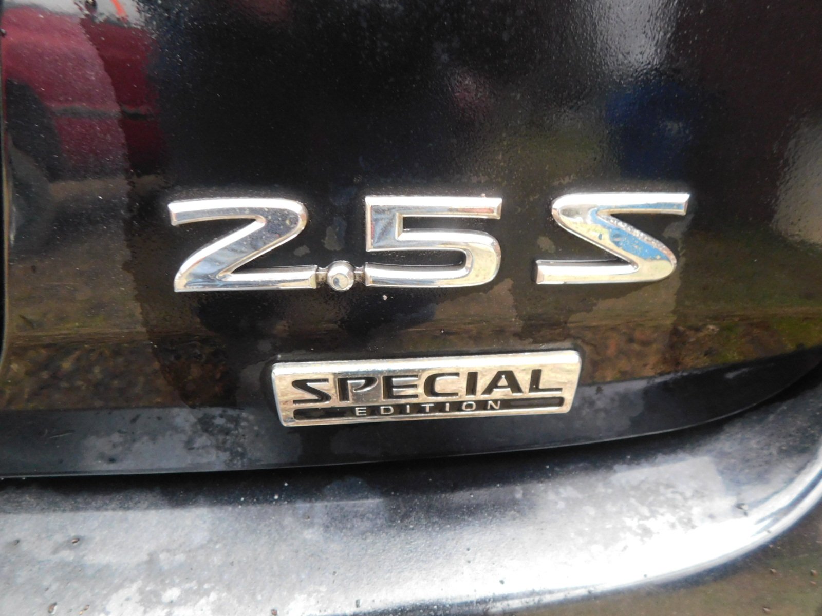 DSCN4366.JPG