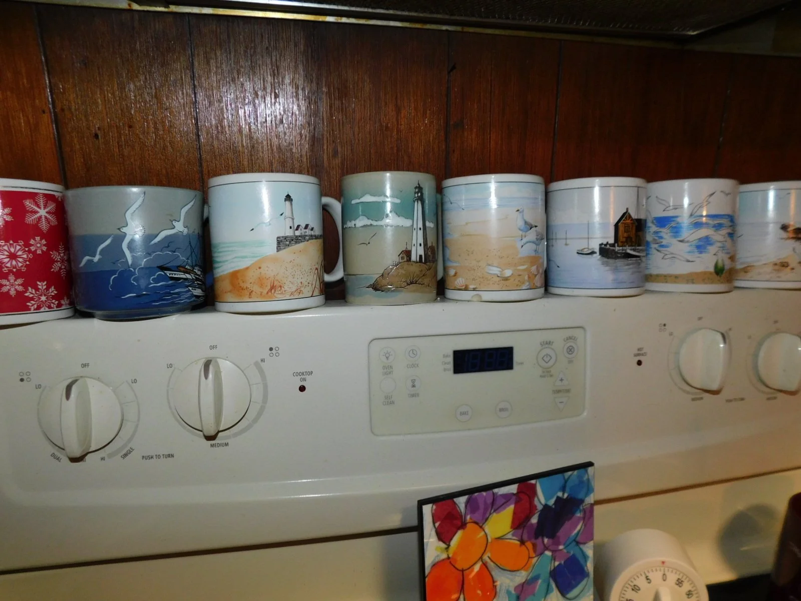 DSCN4675.JPG