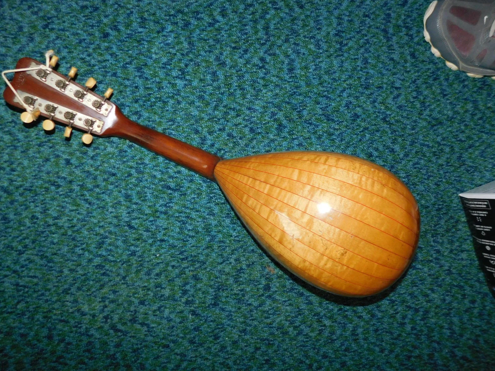 DSCN4708.JPG