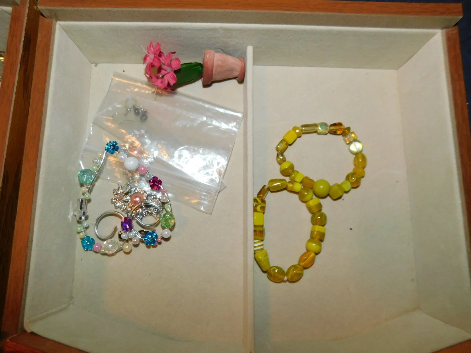 DSCN4745.JPG