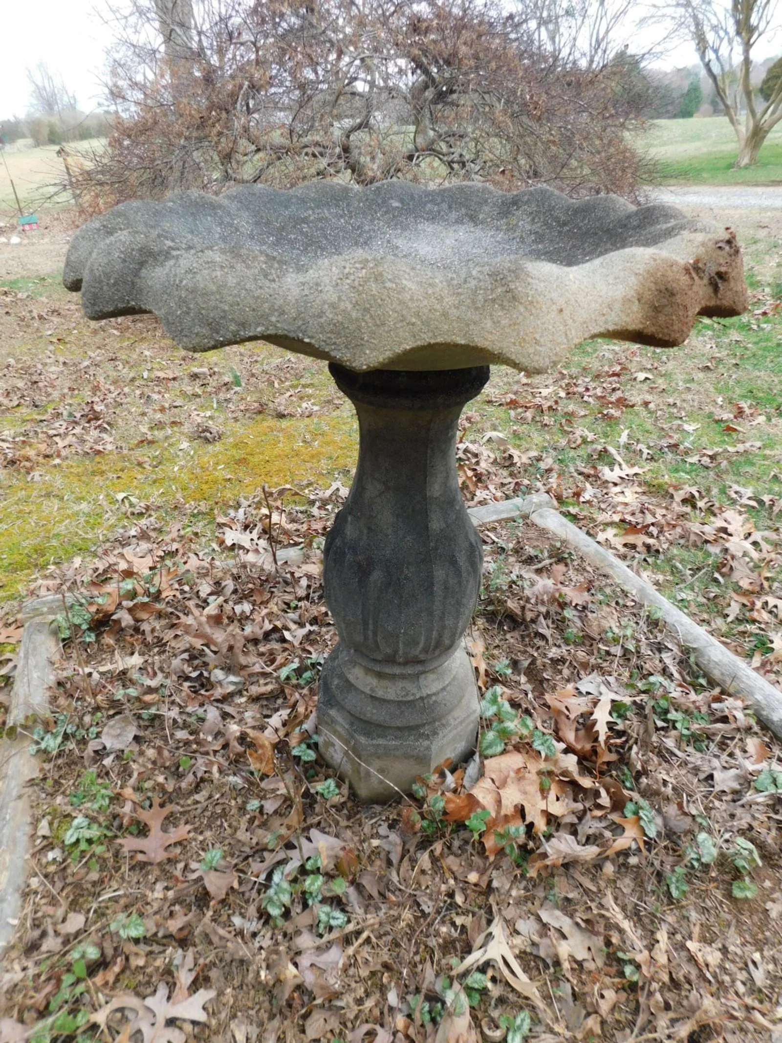DSCN4387.JPG
