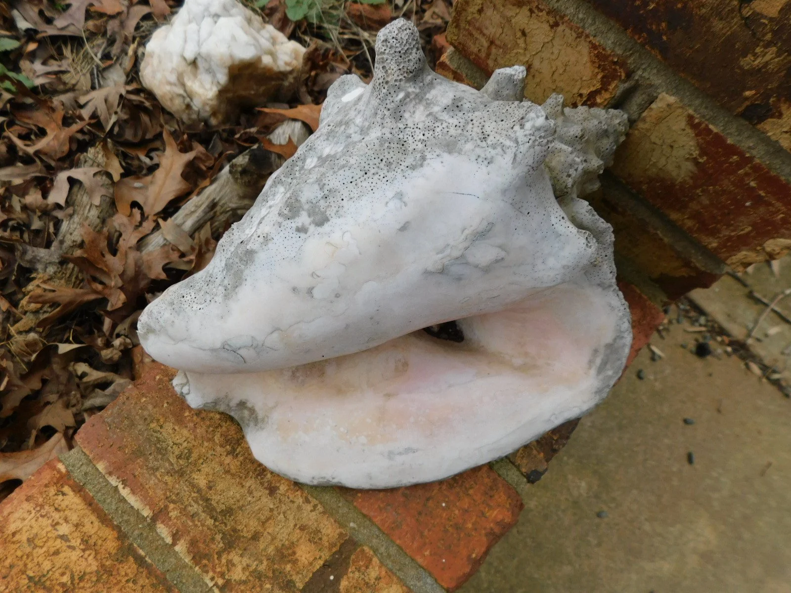 DSCN4388.JPG