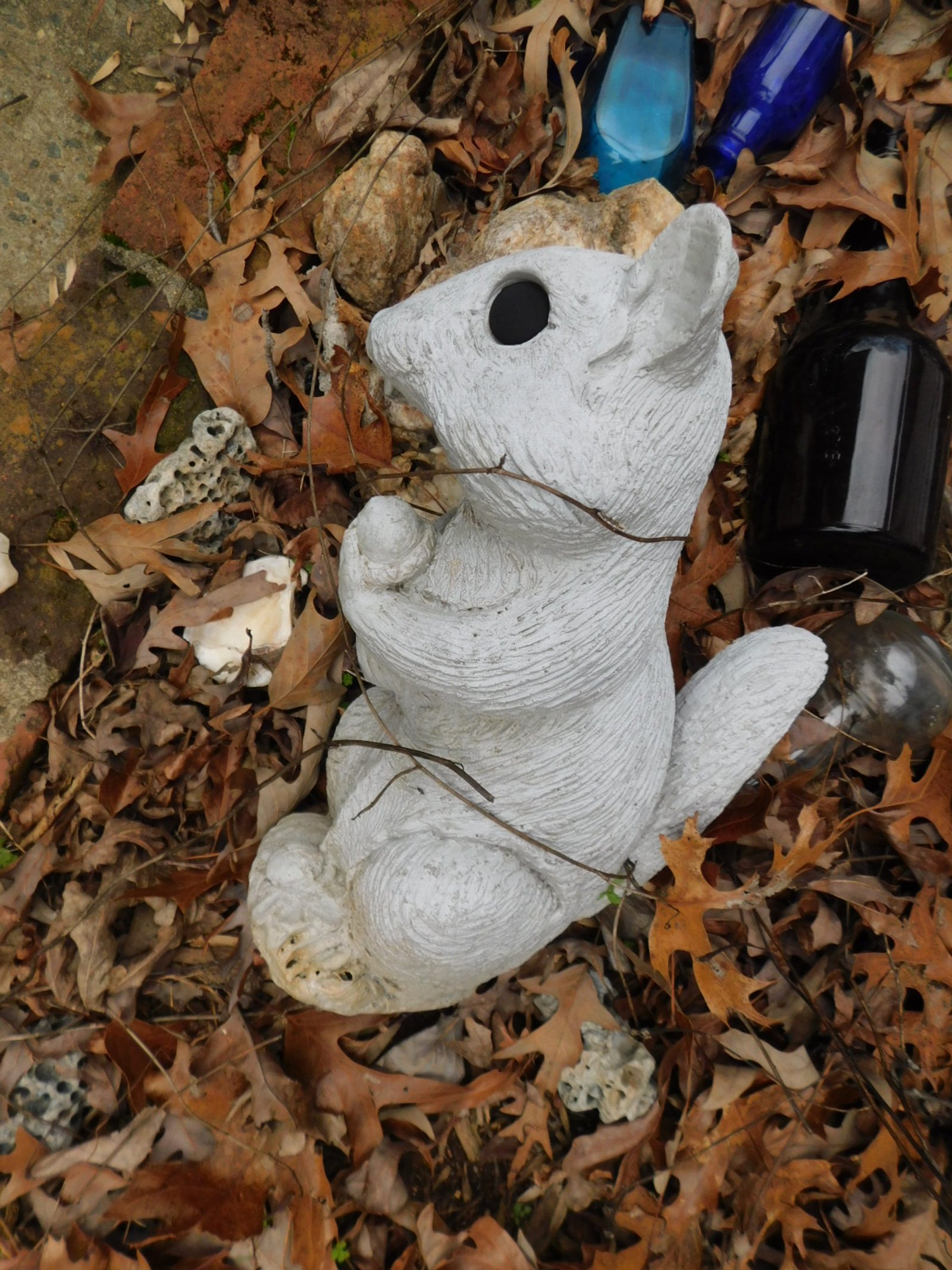 DSCN4391.JPG