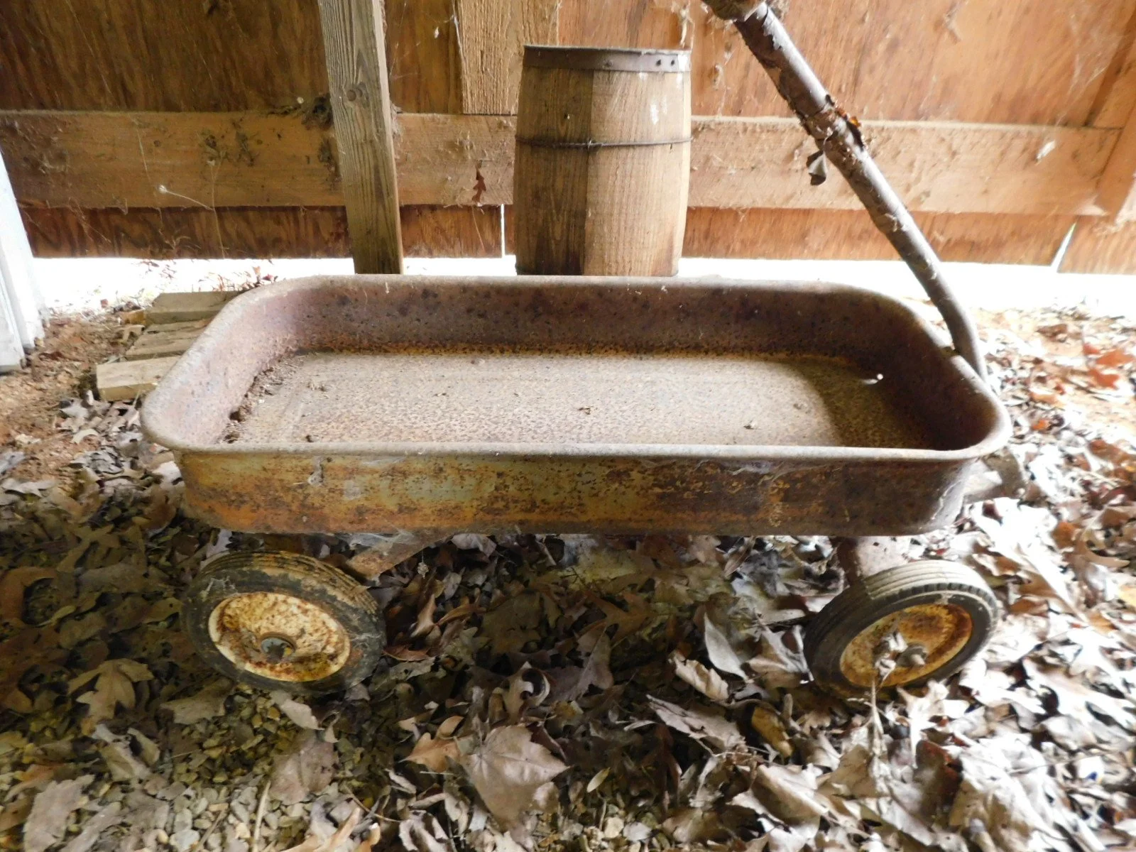 DSCN4399.JPG