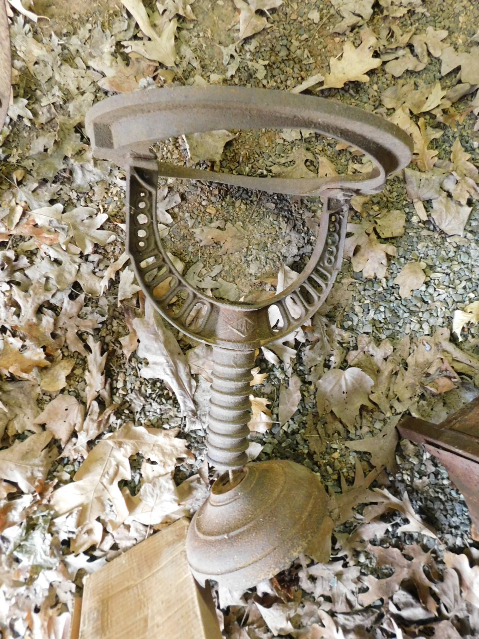 DSCN4405.JPG