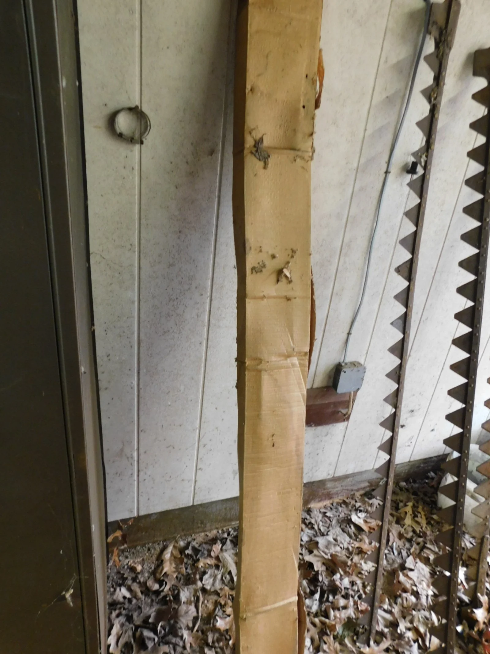 DSCN4408.JPG