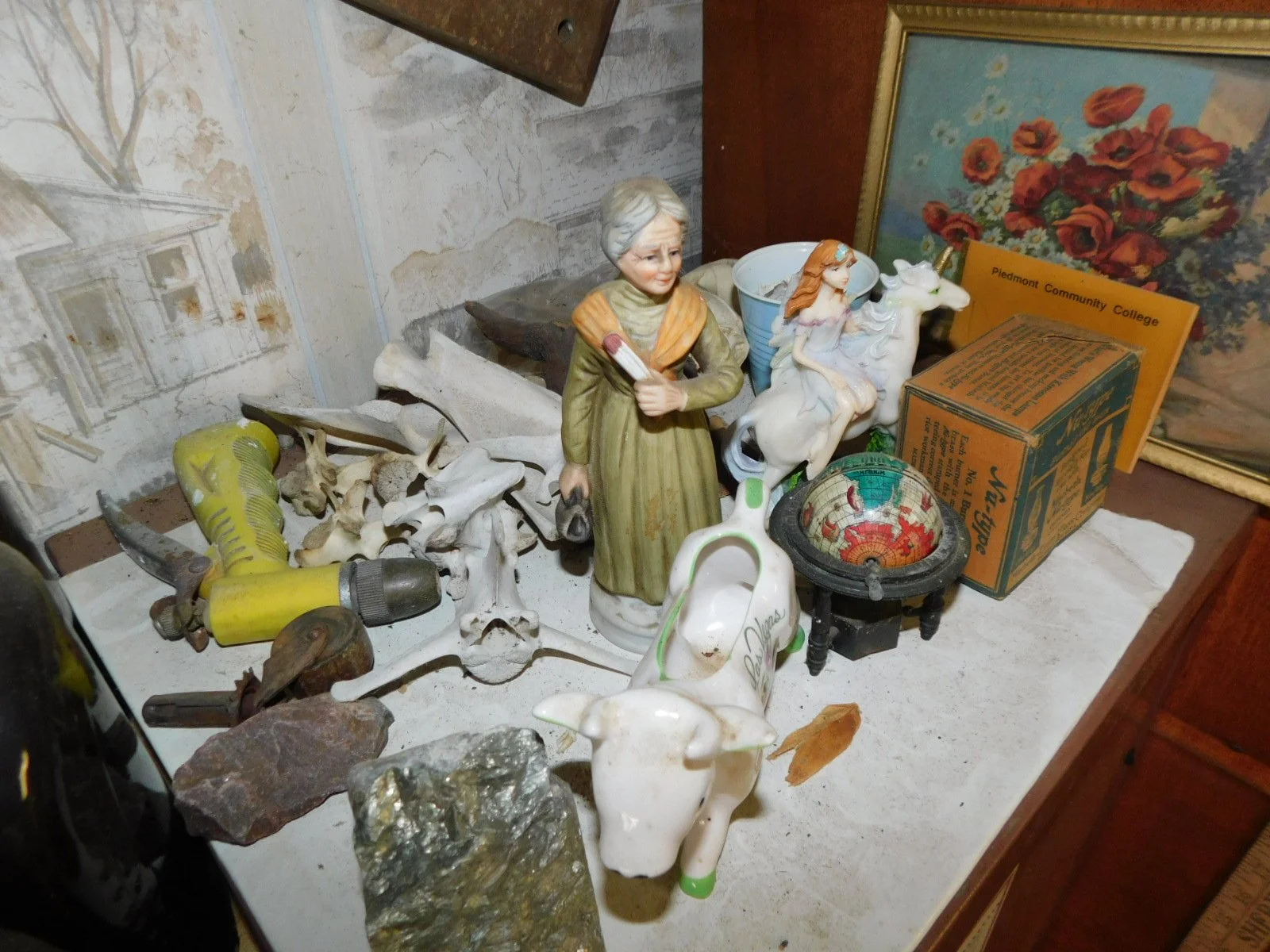DSCN4527.JPG