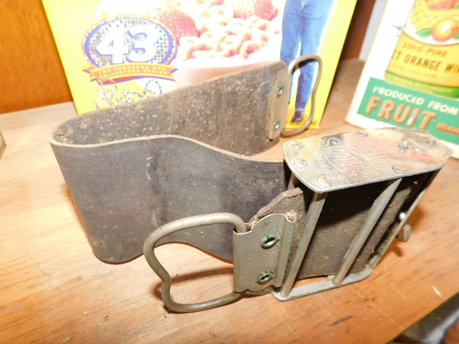 DSCN4546.JPG