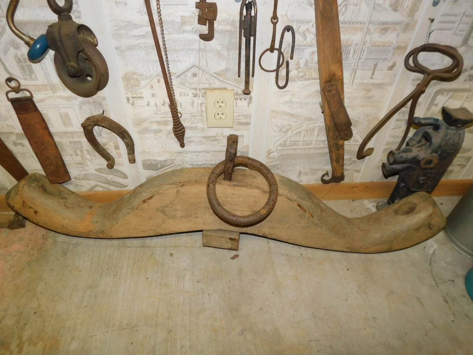 DSCN4578.JPG