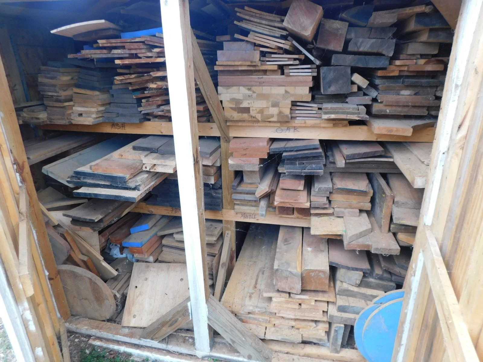DSCN3982.JPG