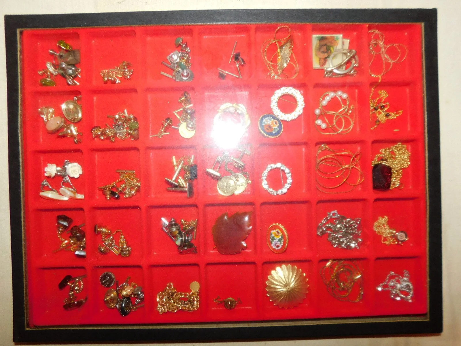 DSCN5117.JPG