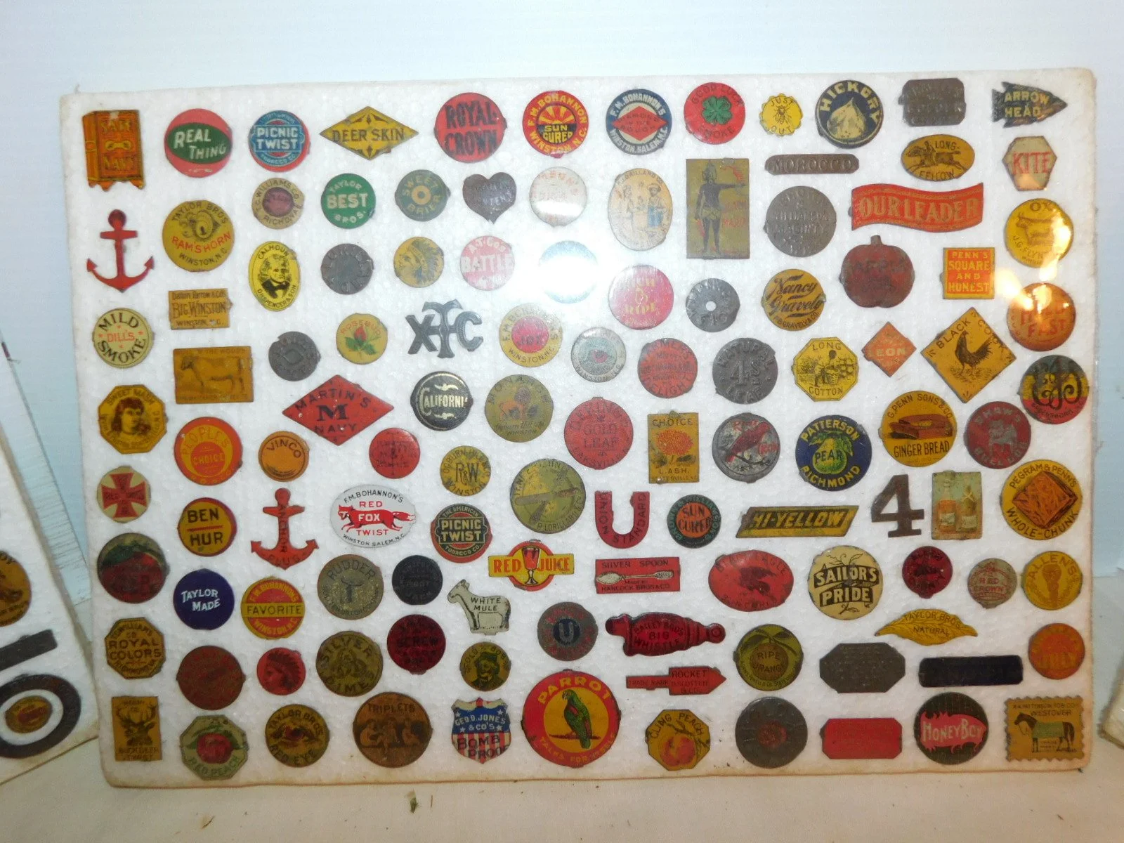 DSCN5146.JPG