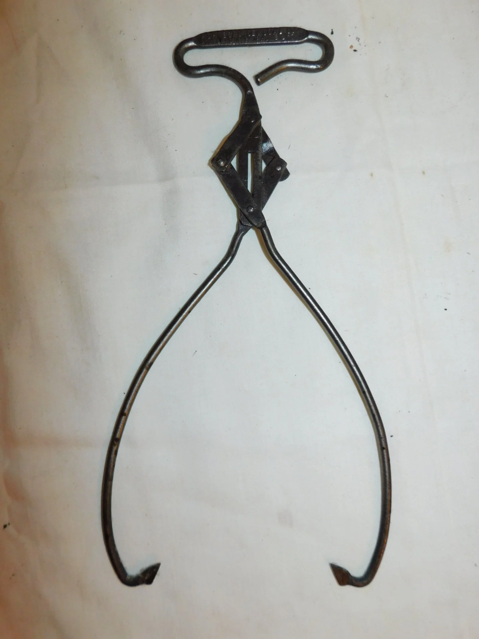 DSCN5208.JPG