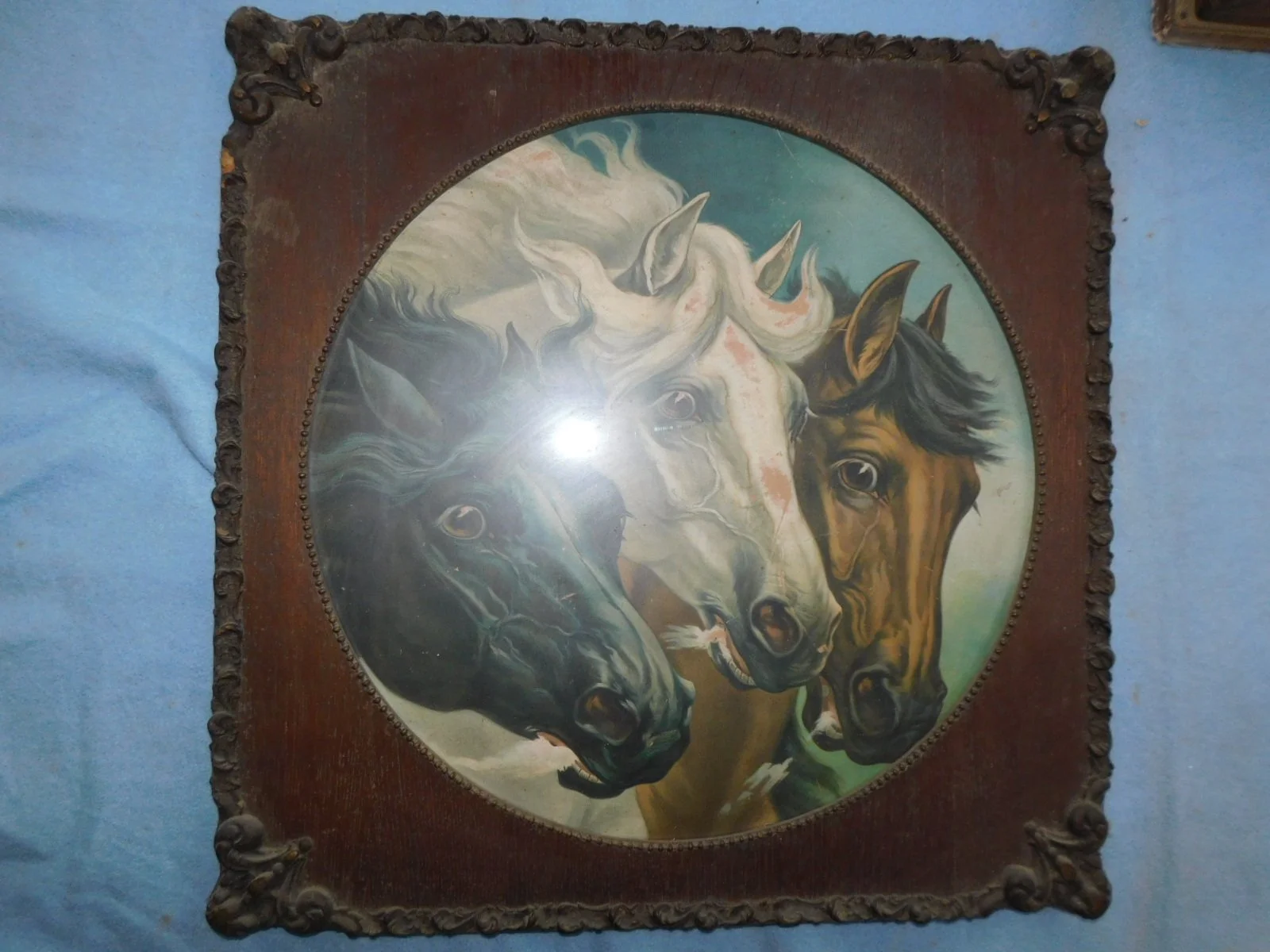 DSCN5265.JPG