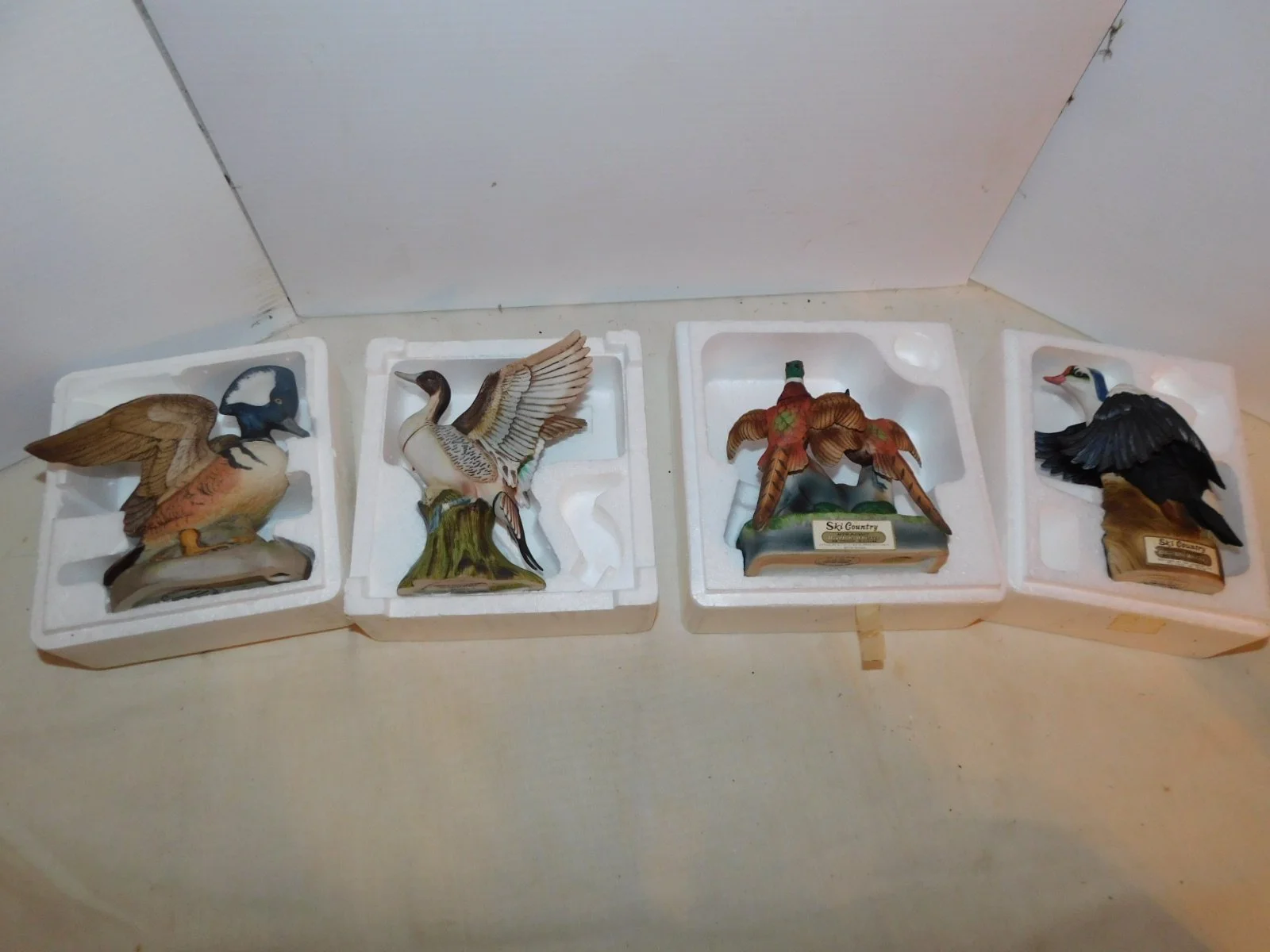 DSCN5362.JPG