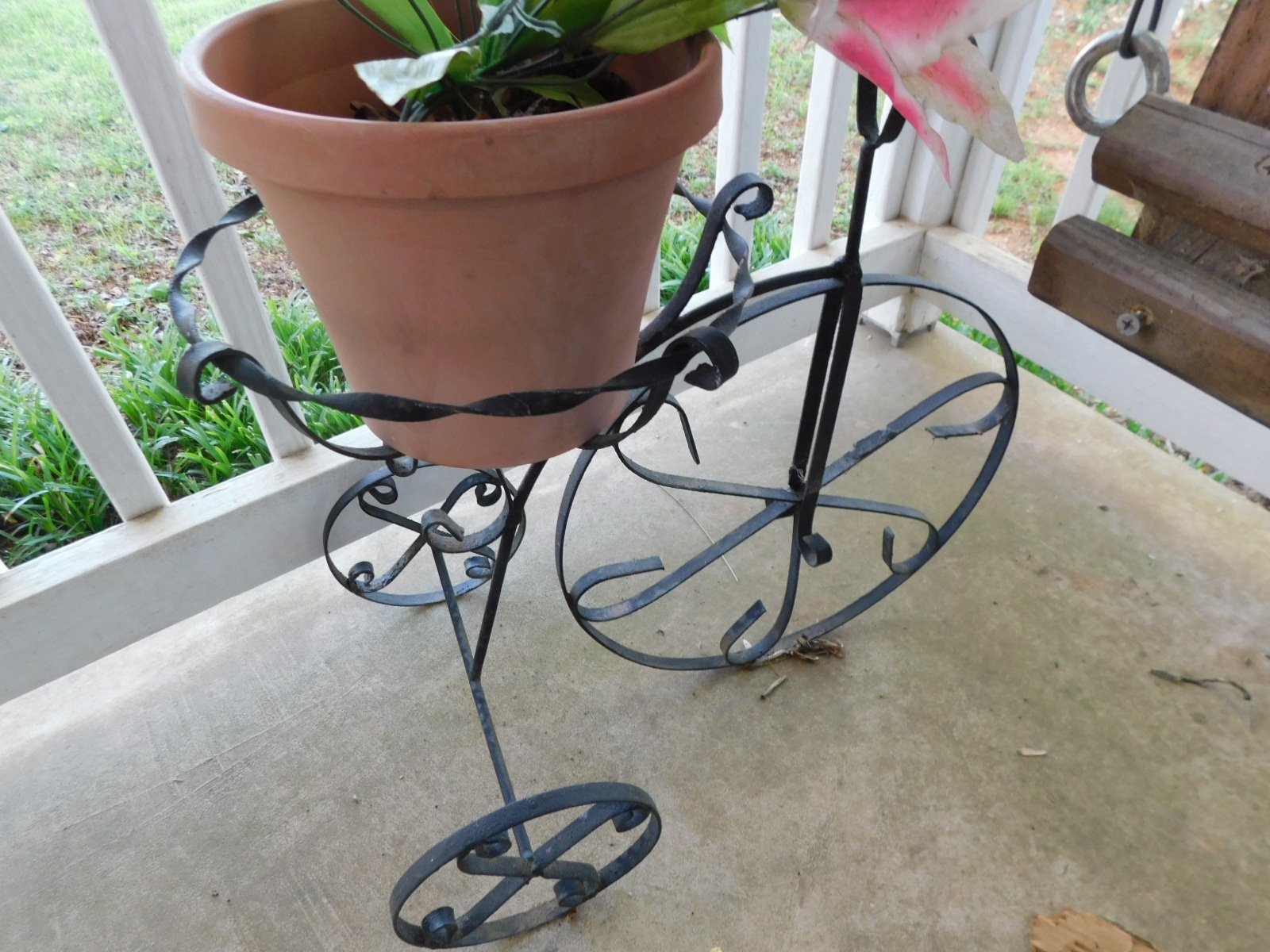 DSCN5570.JPG