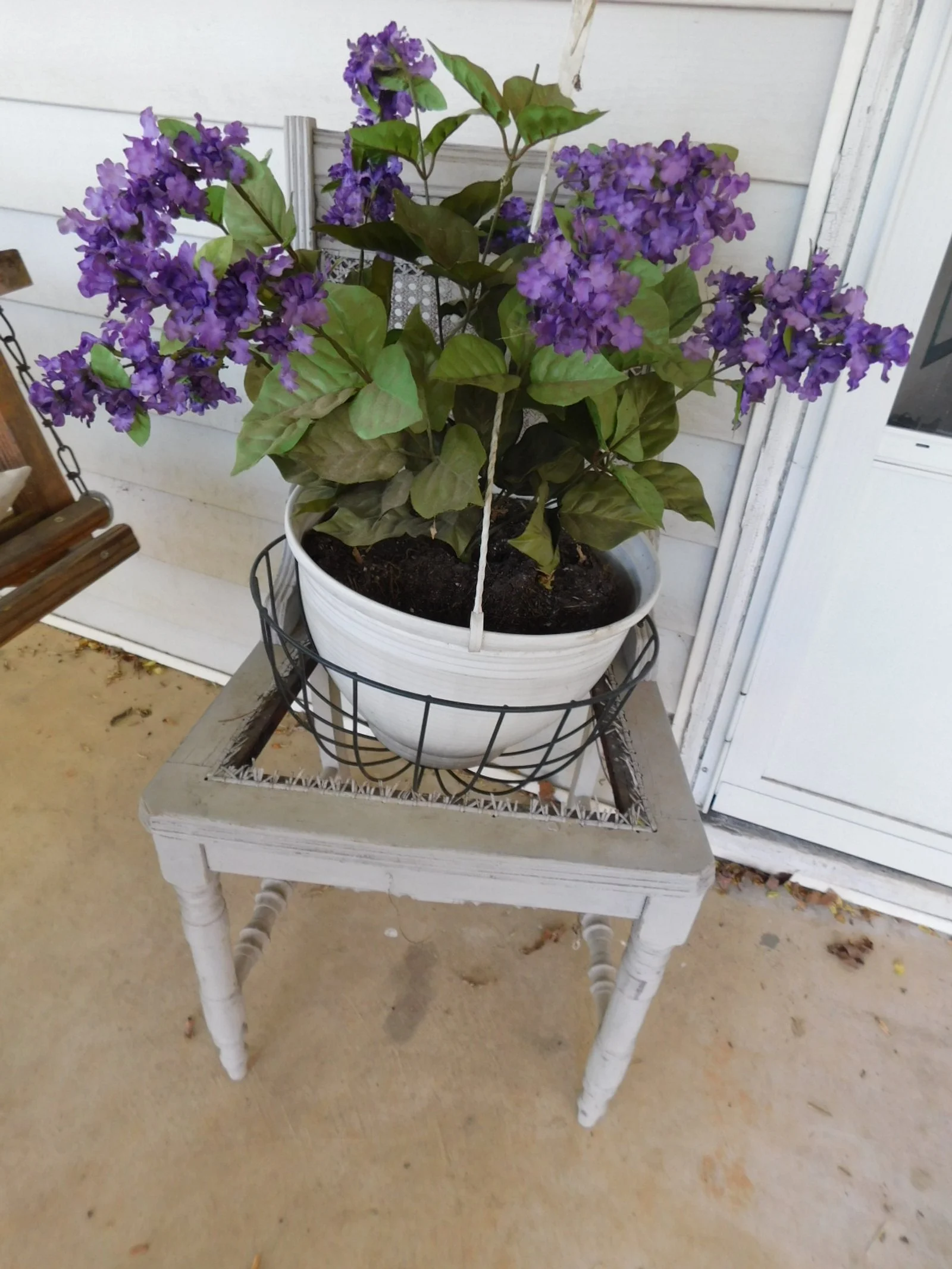 DSCN5573.JPG