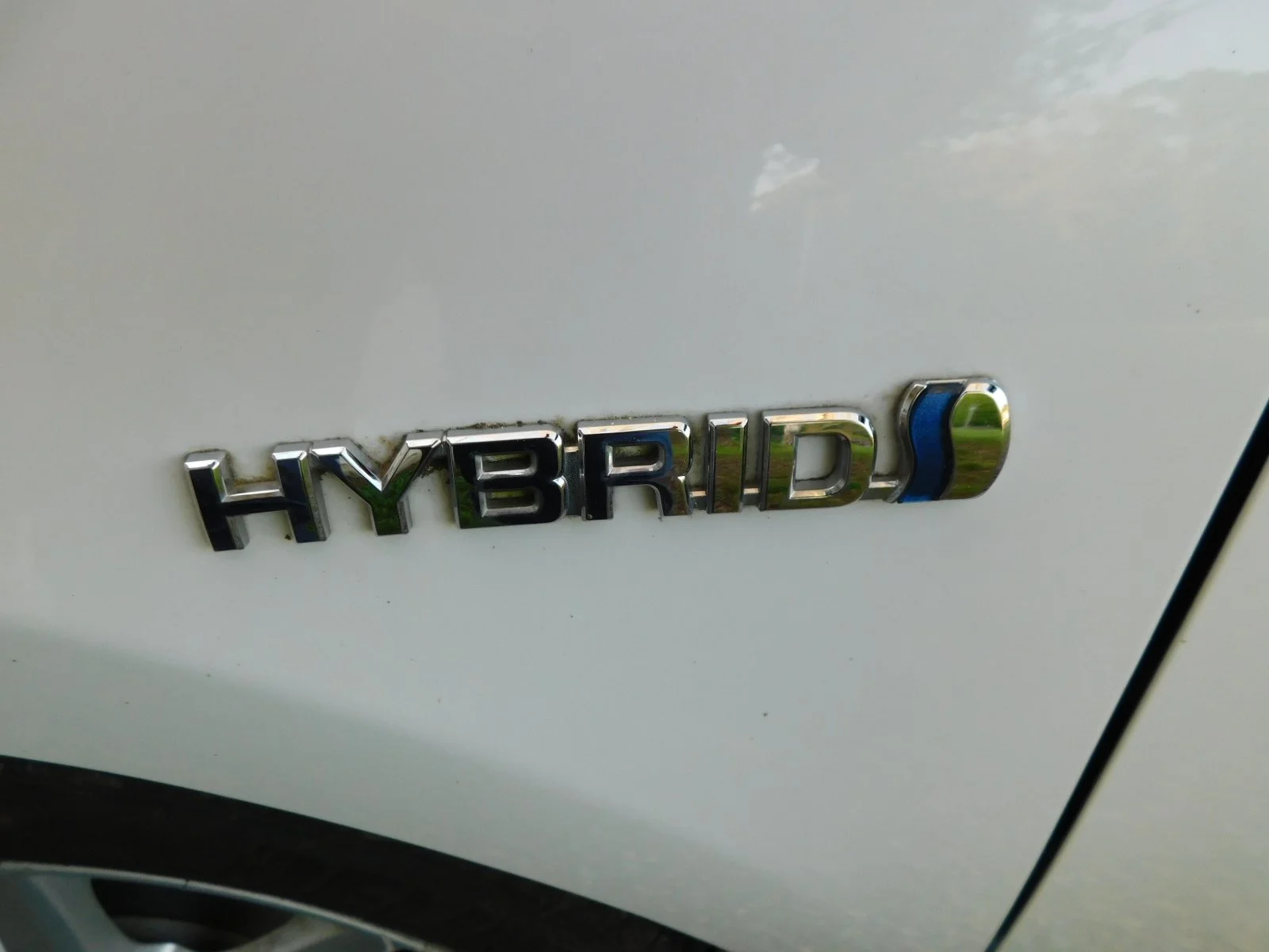 DSCN5578.JPG