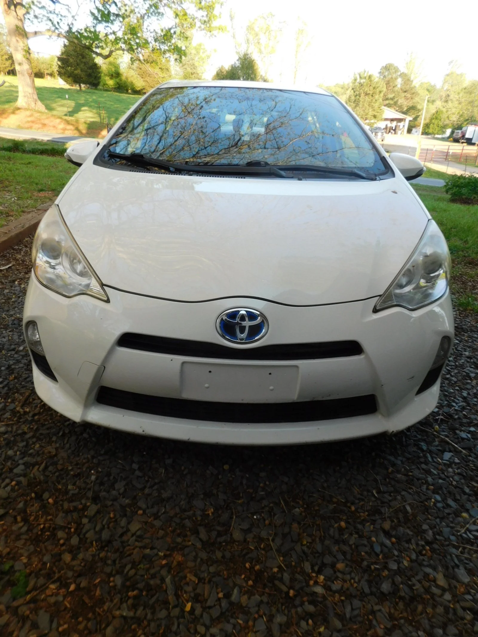 DSCN5584.JPG