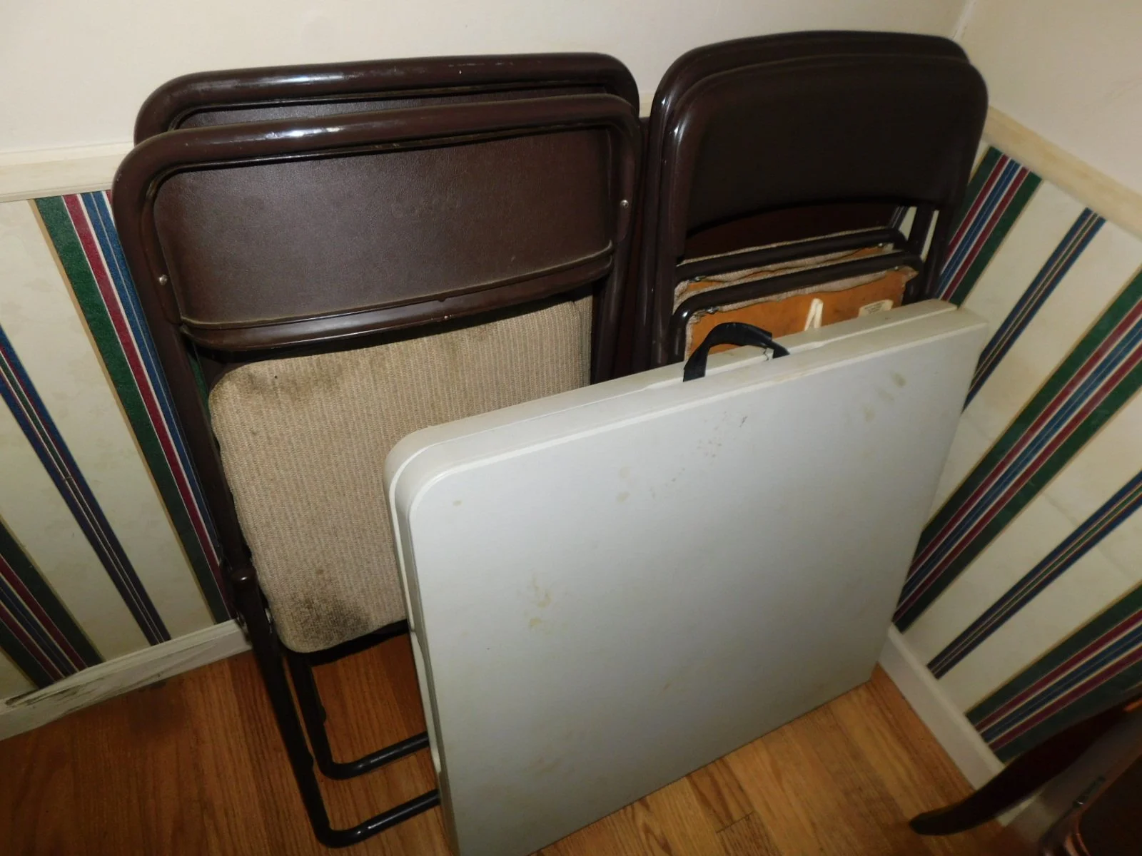 DSCN5619.JPG