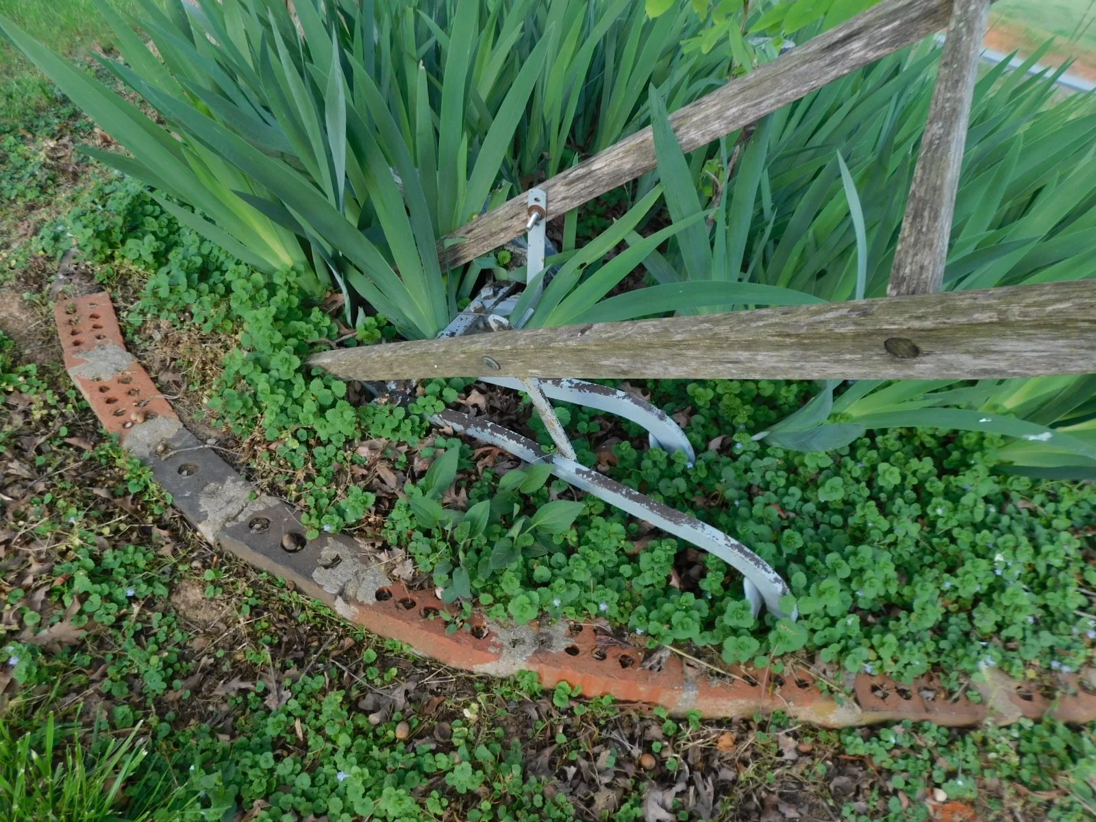 DSCN5662.JPG