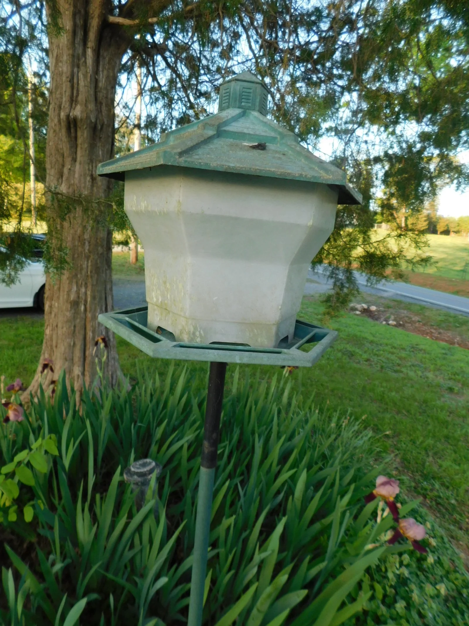 DSCN5664.JPG