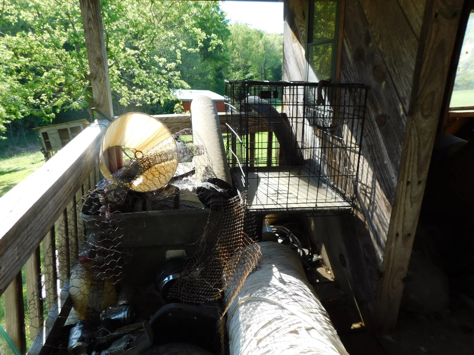 DSCN5398.JPG
