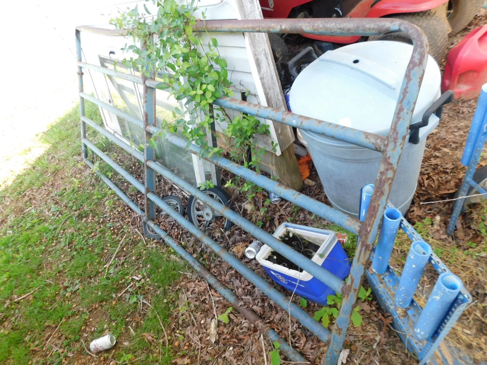 DSCN5439.JPG