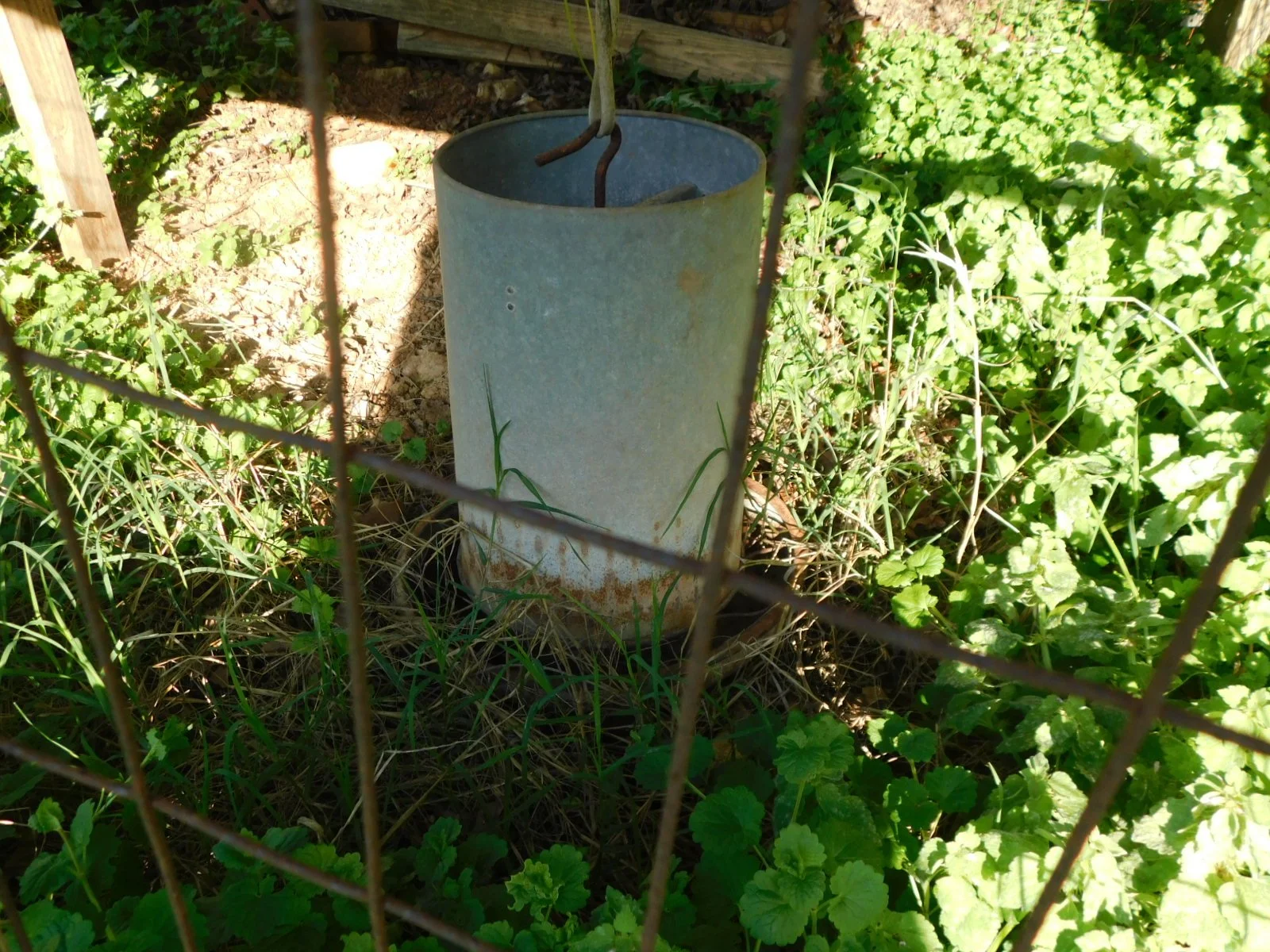 DSCN5468.JPG