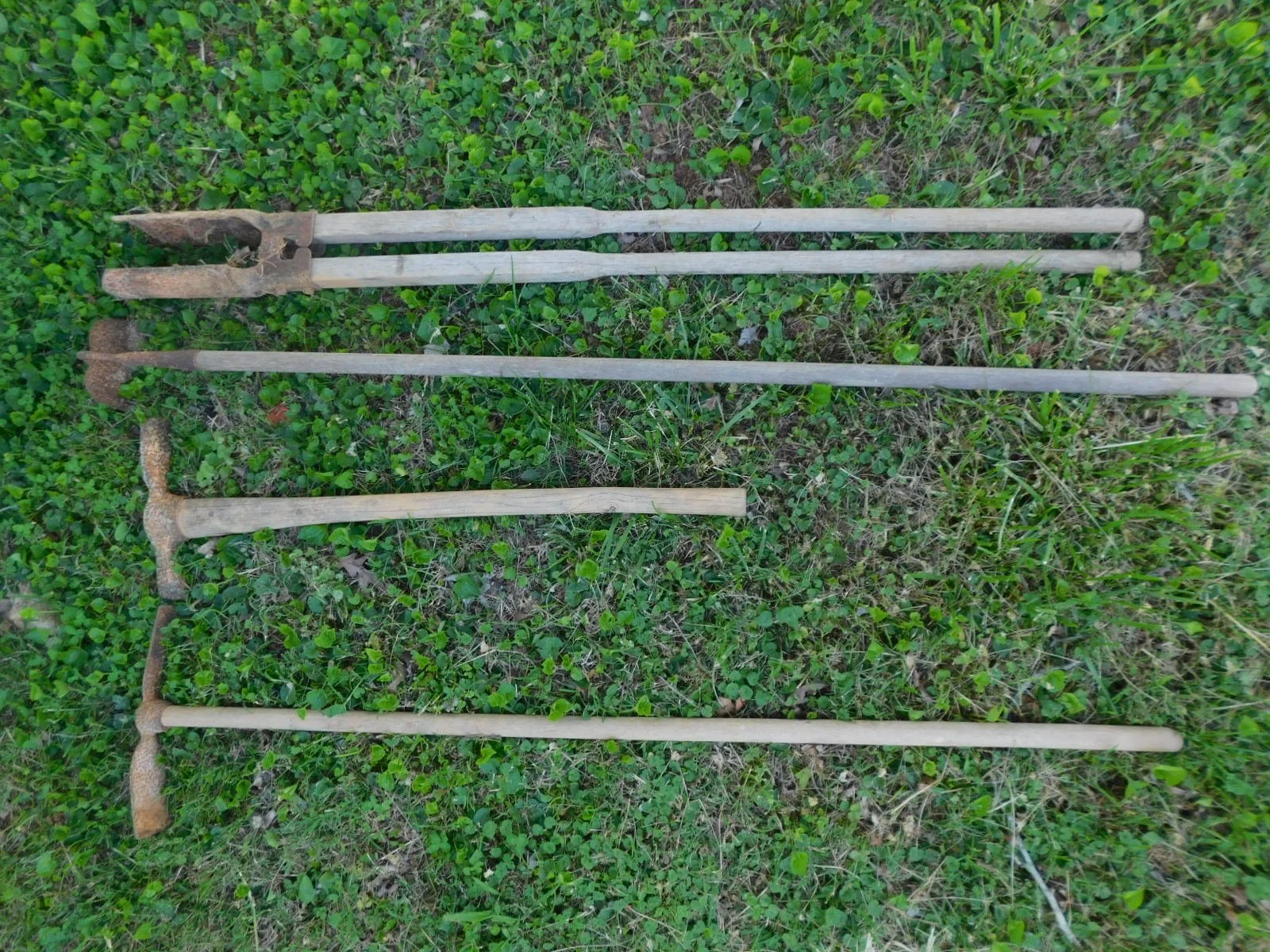DSCN5517.JPG