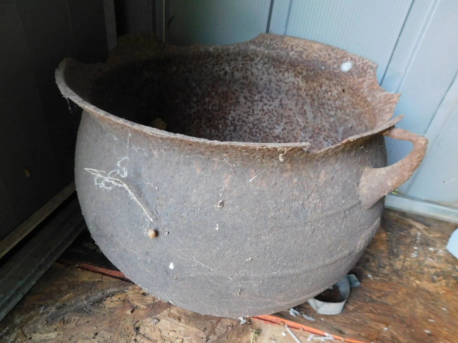 DSCN5541.JPG