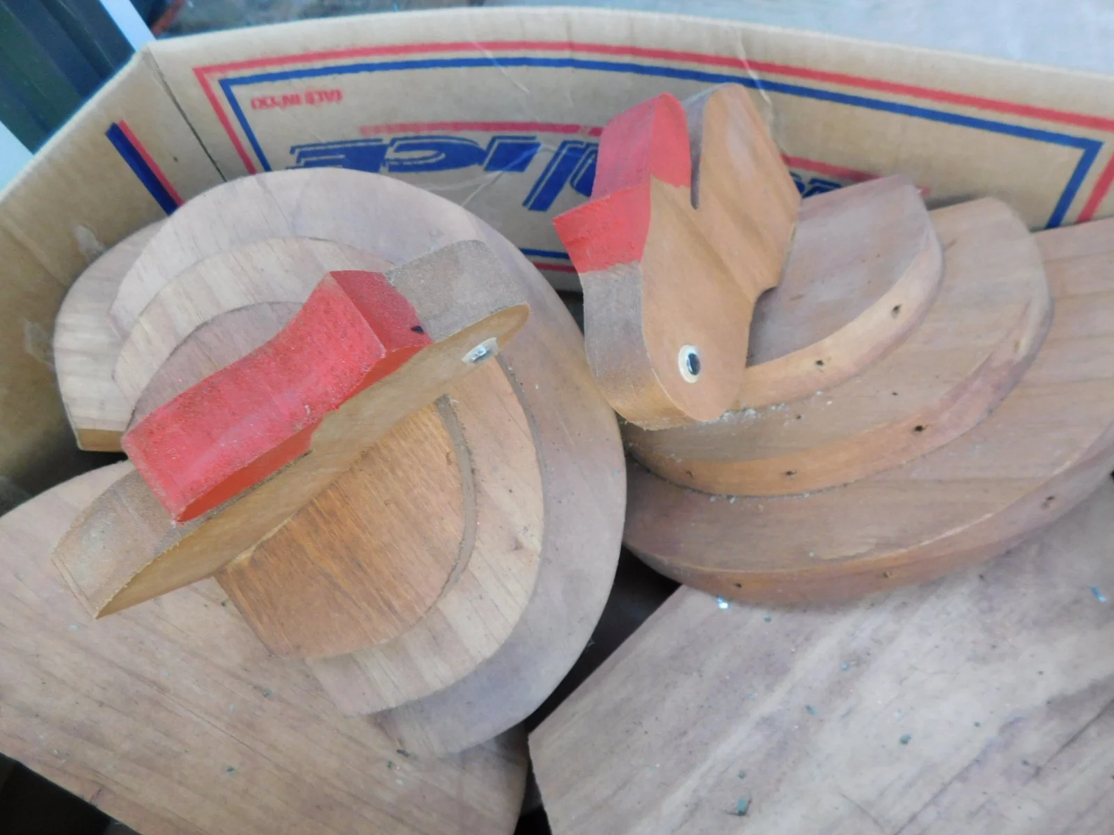 DSCN5553.JPG