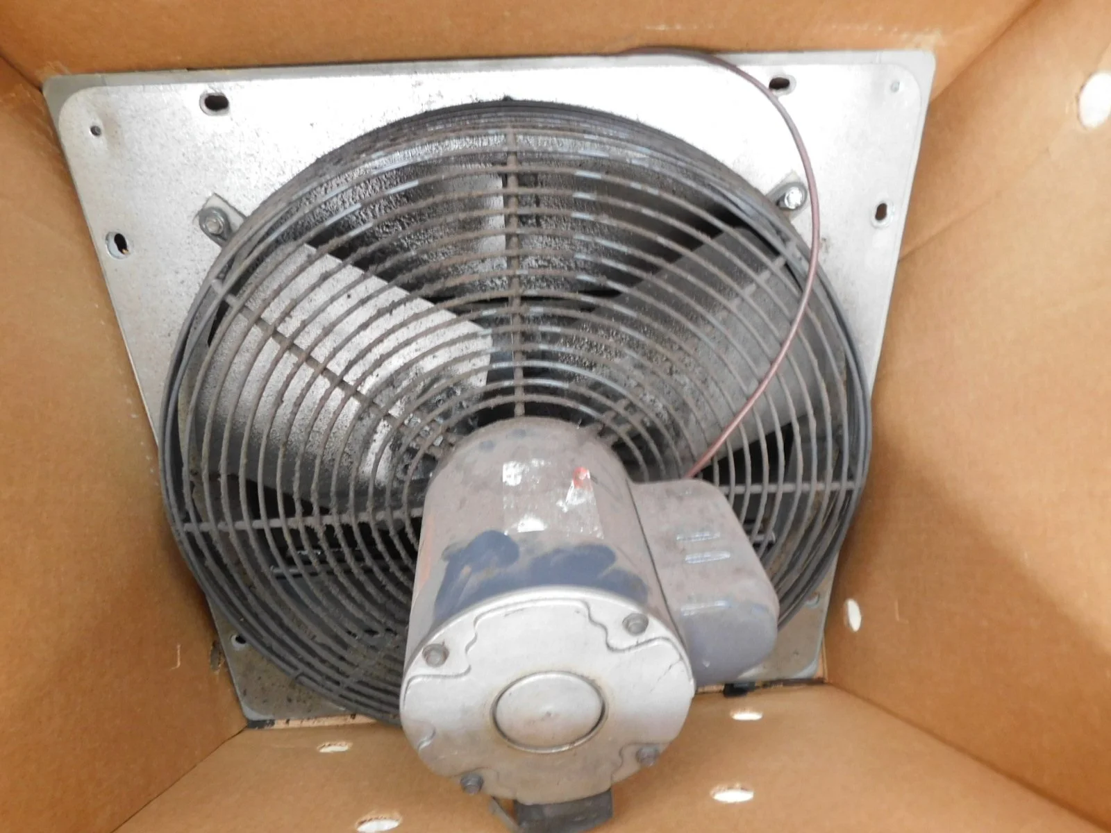 DSCN5954.JPG