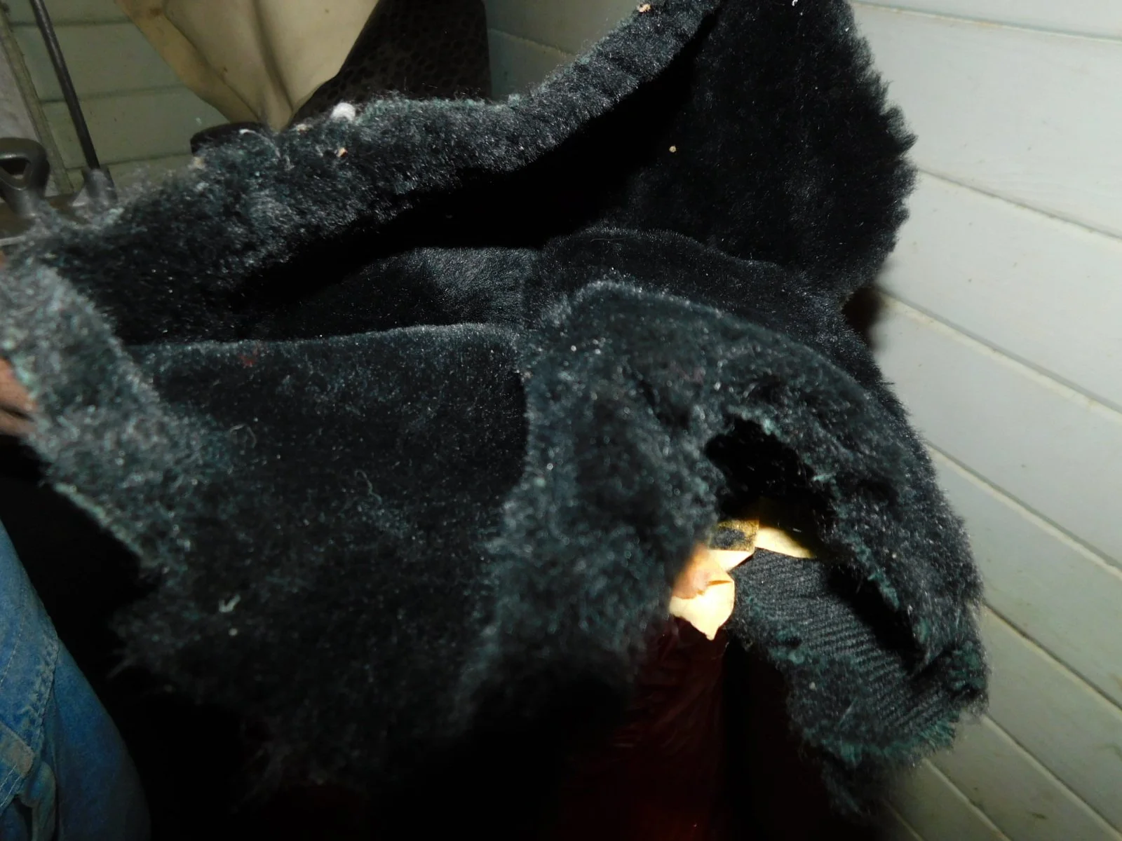 DSCN6062.JPG