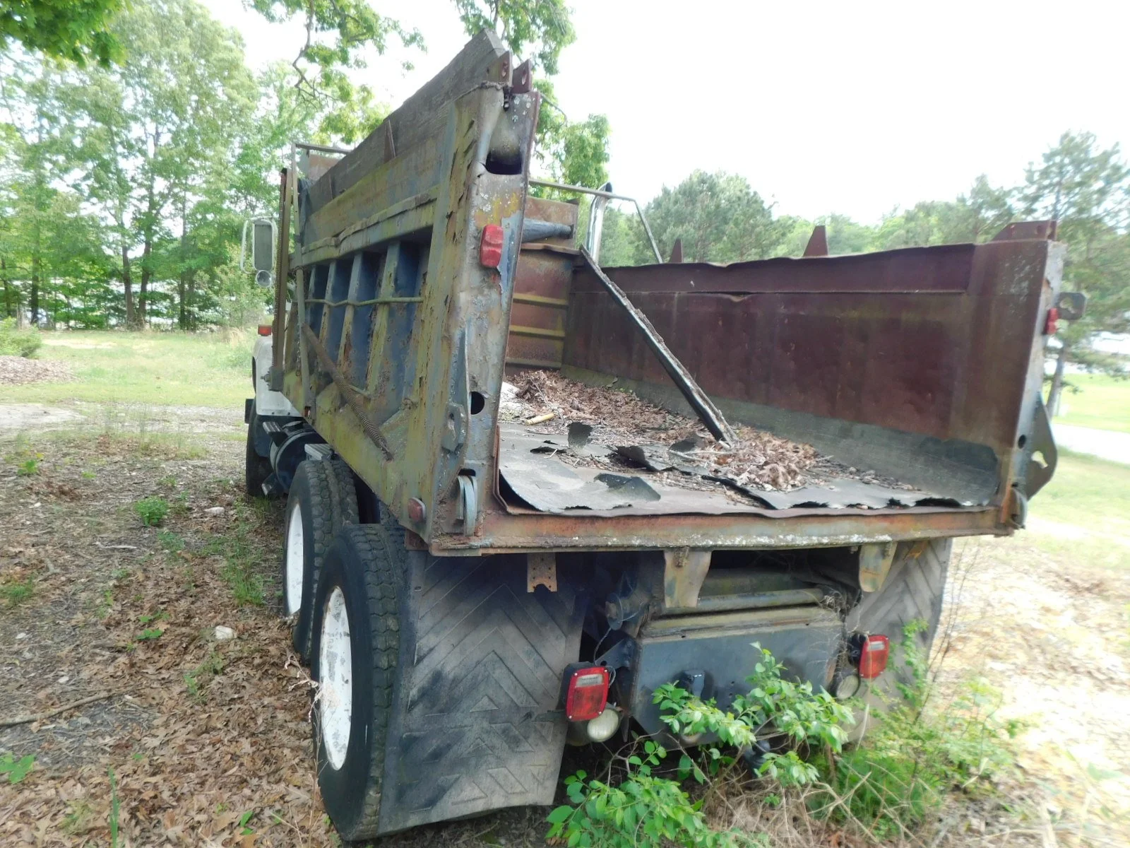 DSCN5782.JPG