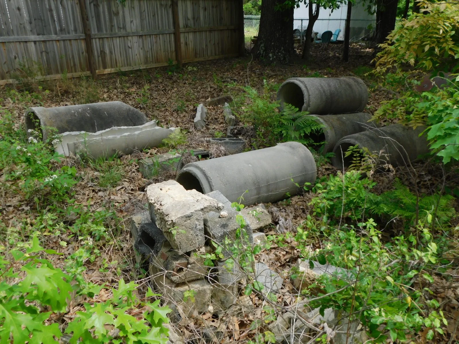 DSCN5787.JPG