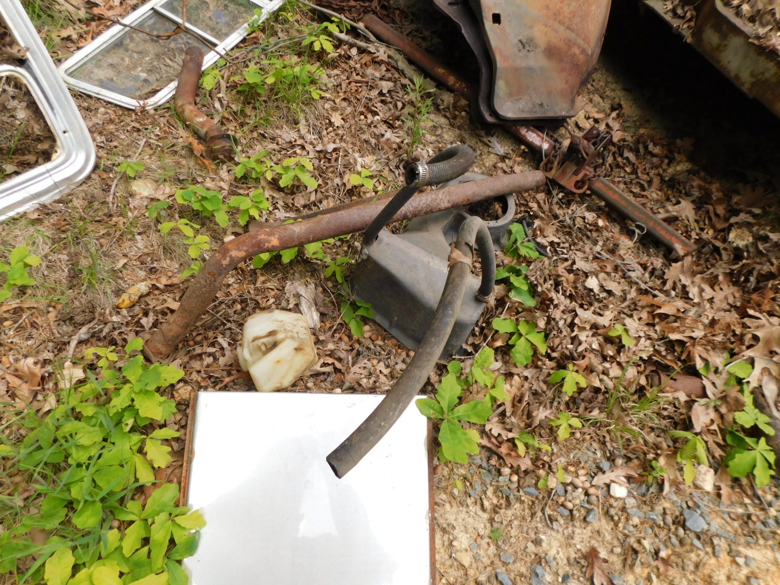 DSCN5813.JPG