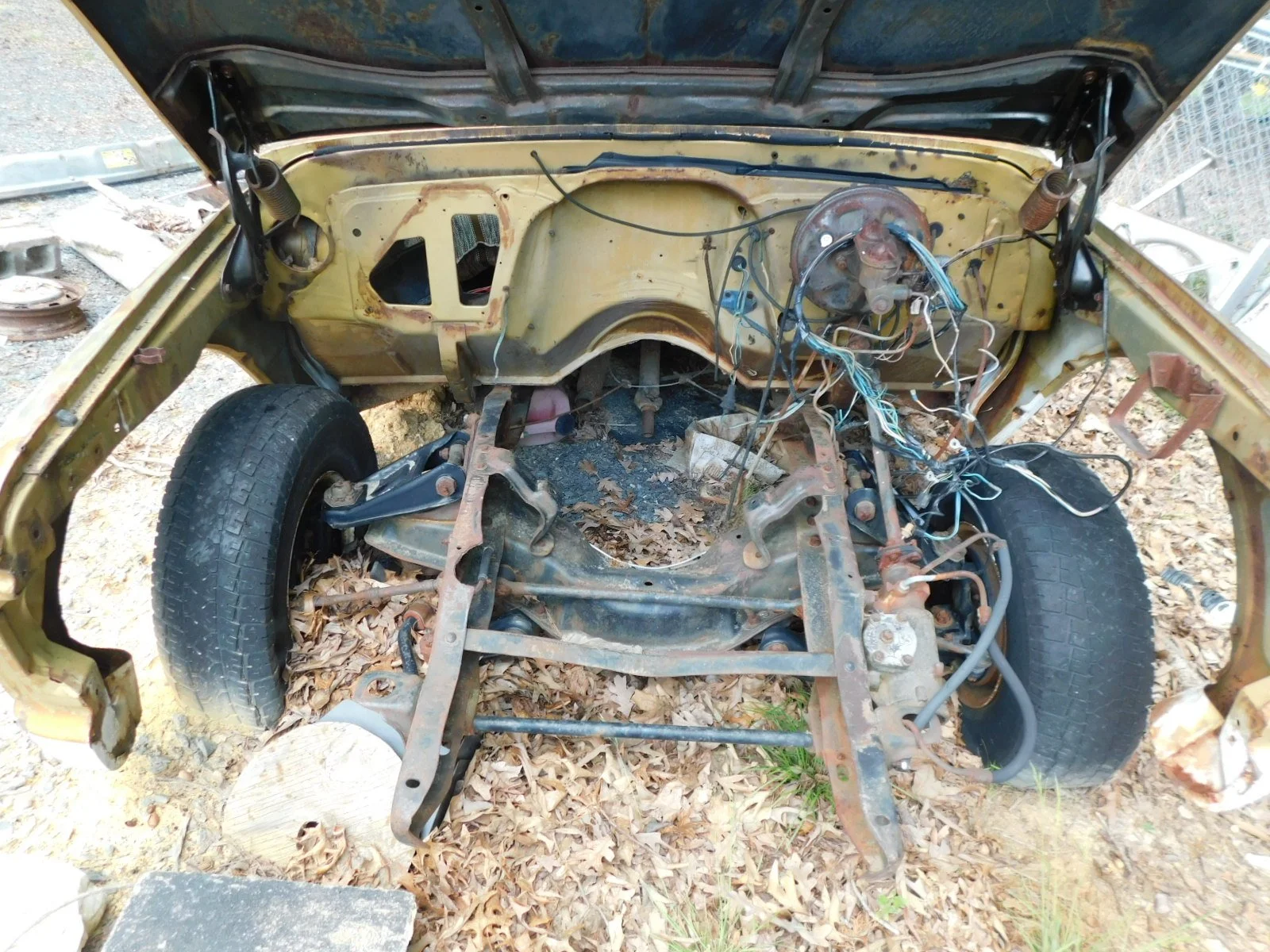 DSCN5809.JPG