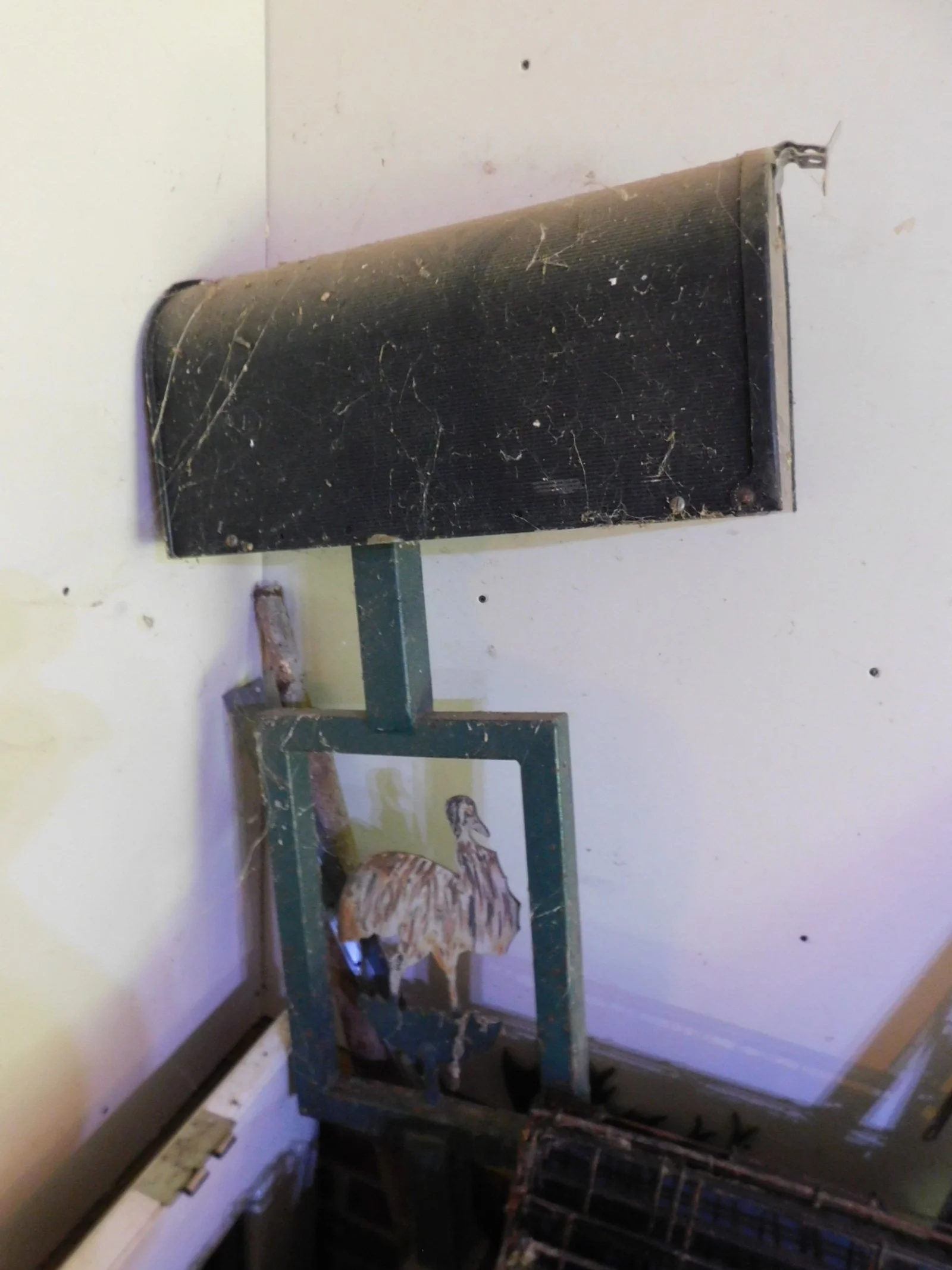 DSCN6140.JPG