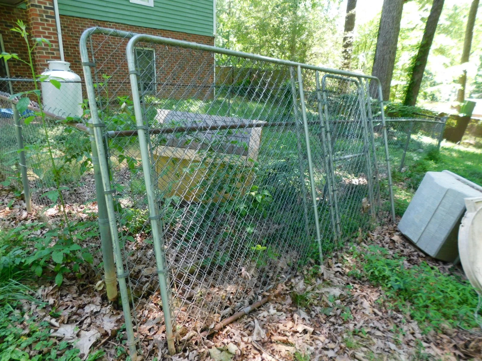 DSCN6164.JPG