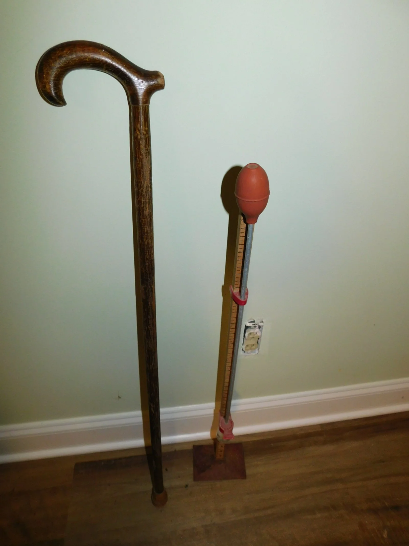 DSCN6245.JPG