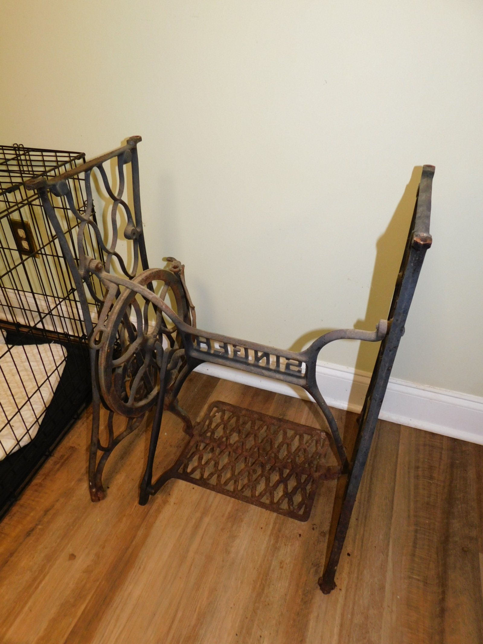 DSCN6259.JPG