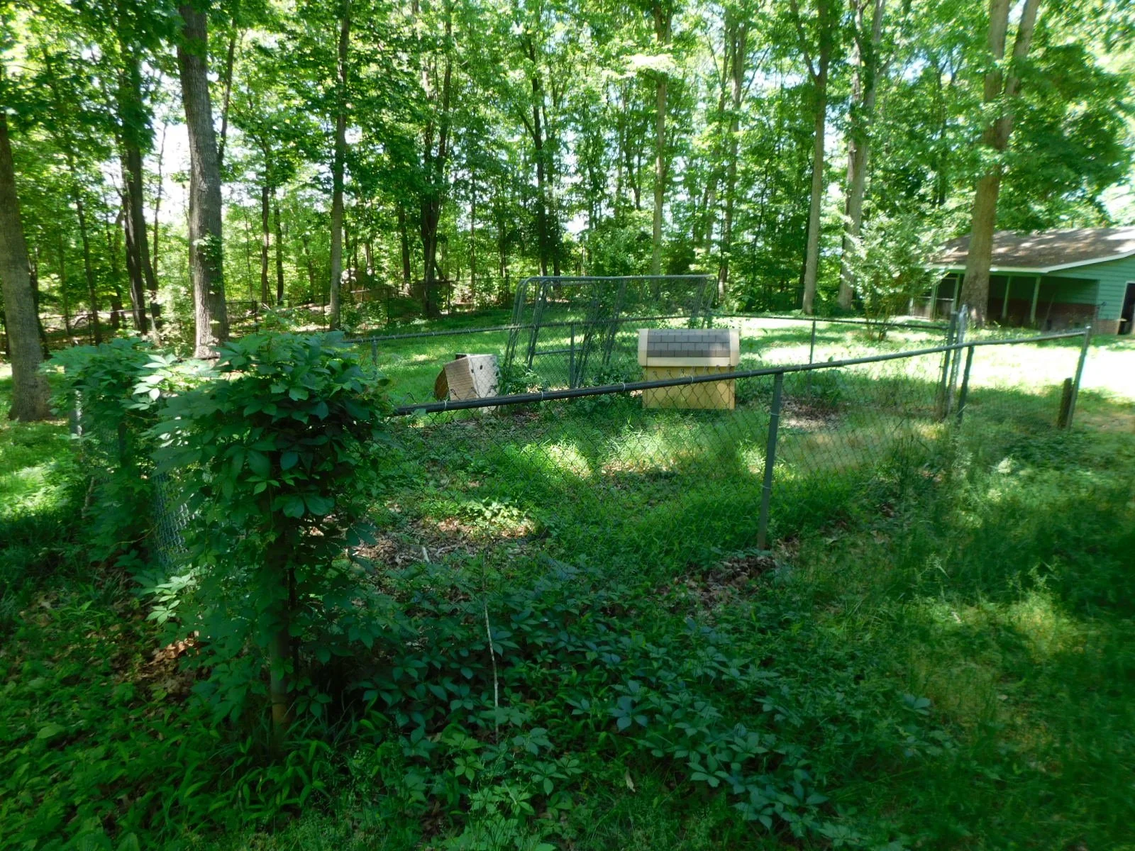 DSCN6268.JPG