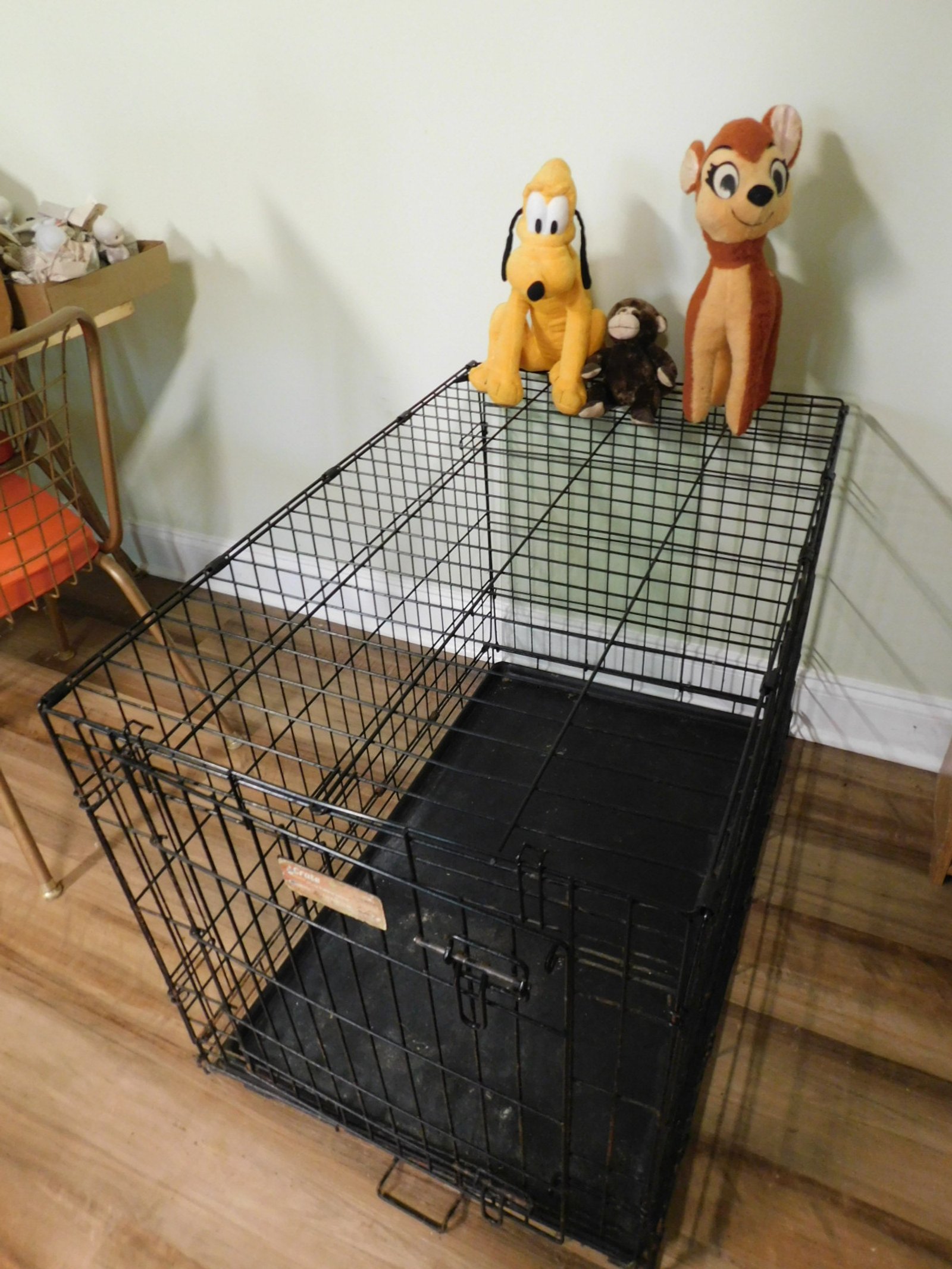 DSCN6291.JPG