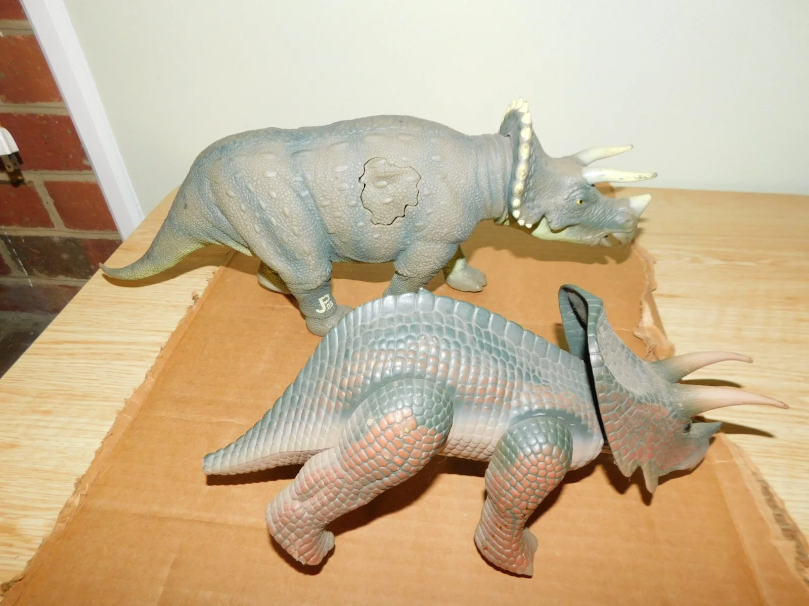 DSCN6293.JPG
