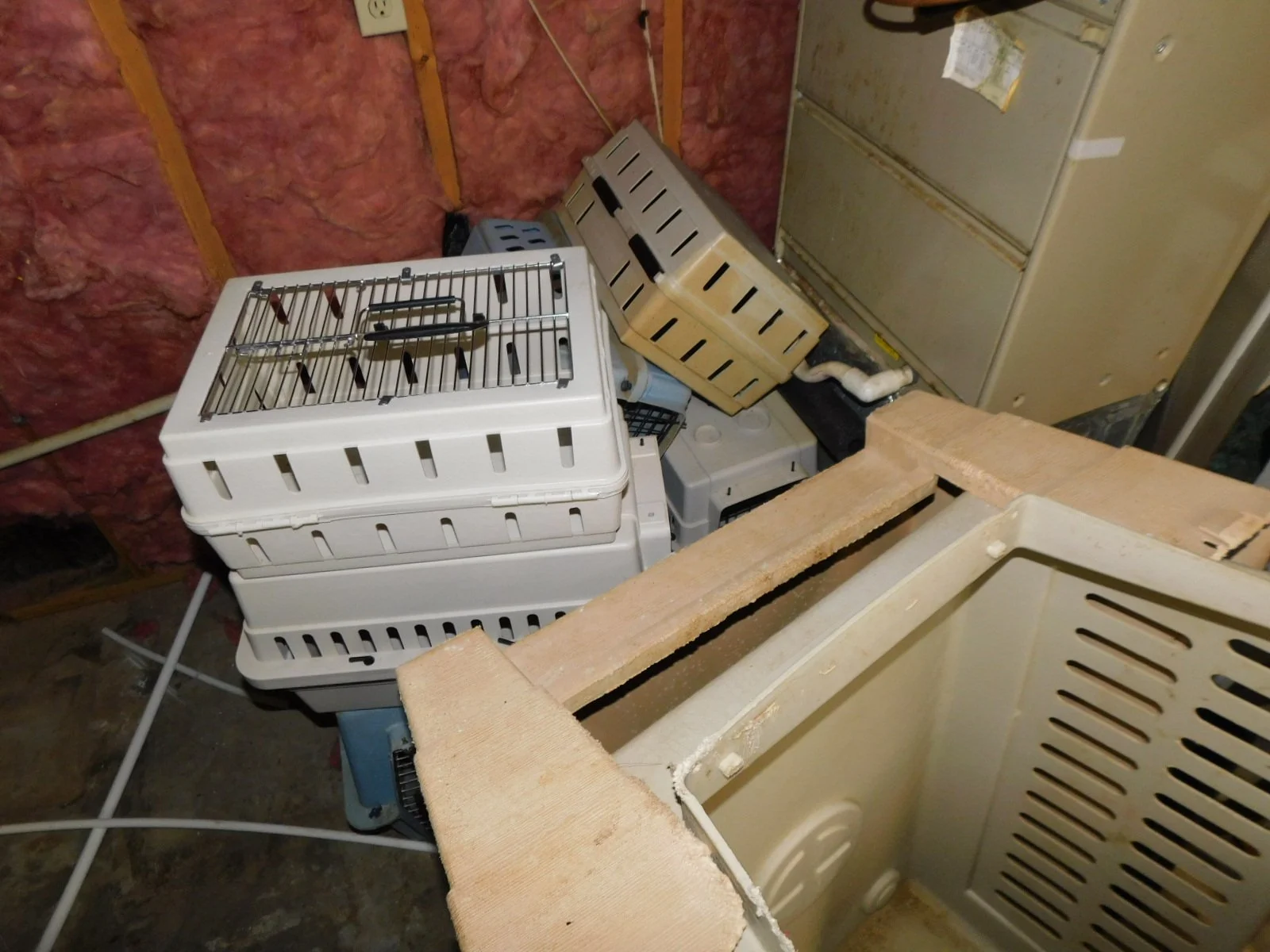 DSCN6424.JPG