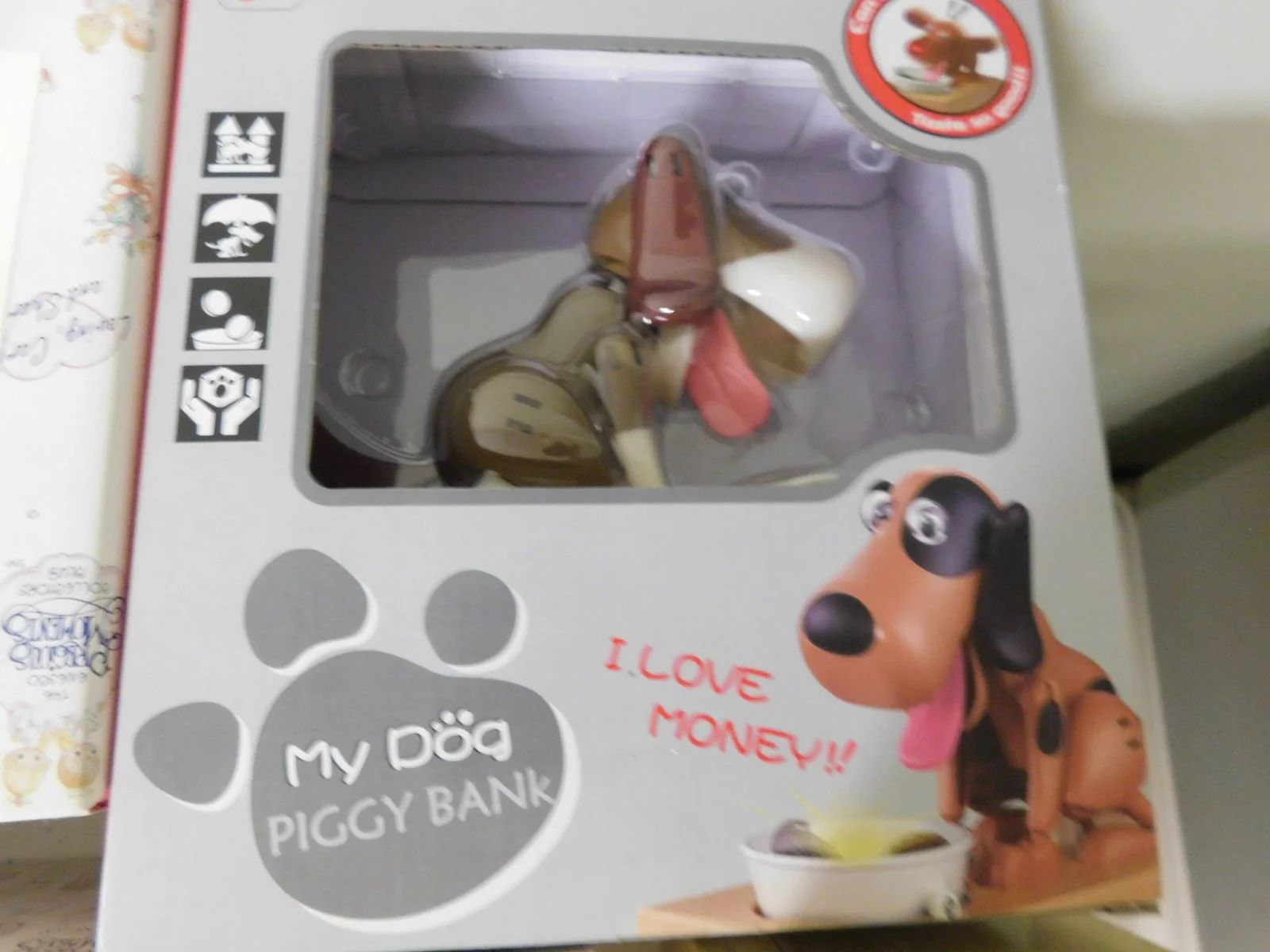 DSCN6557.JPG