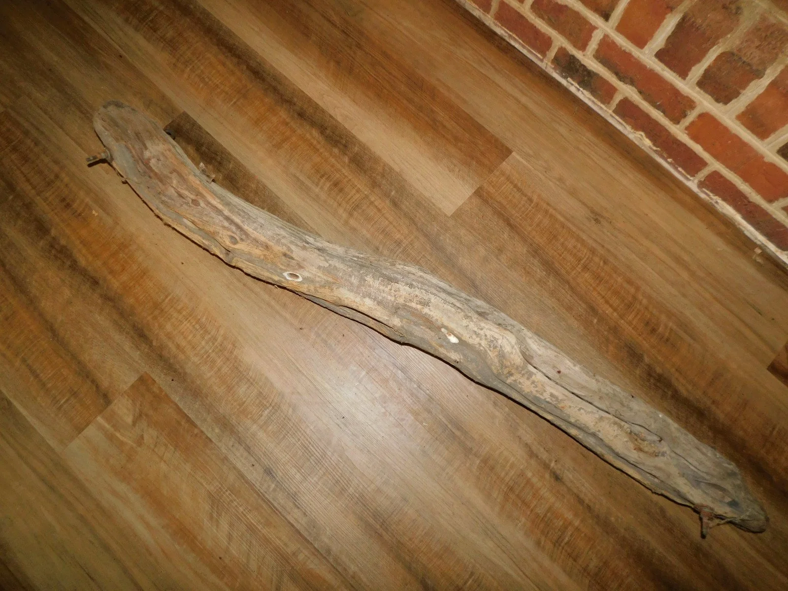 DSCN6578.JPG